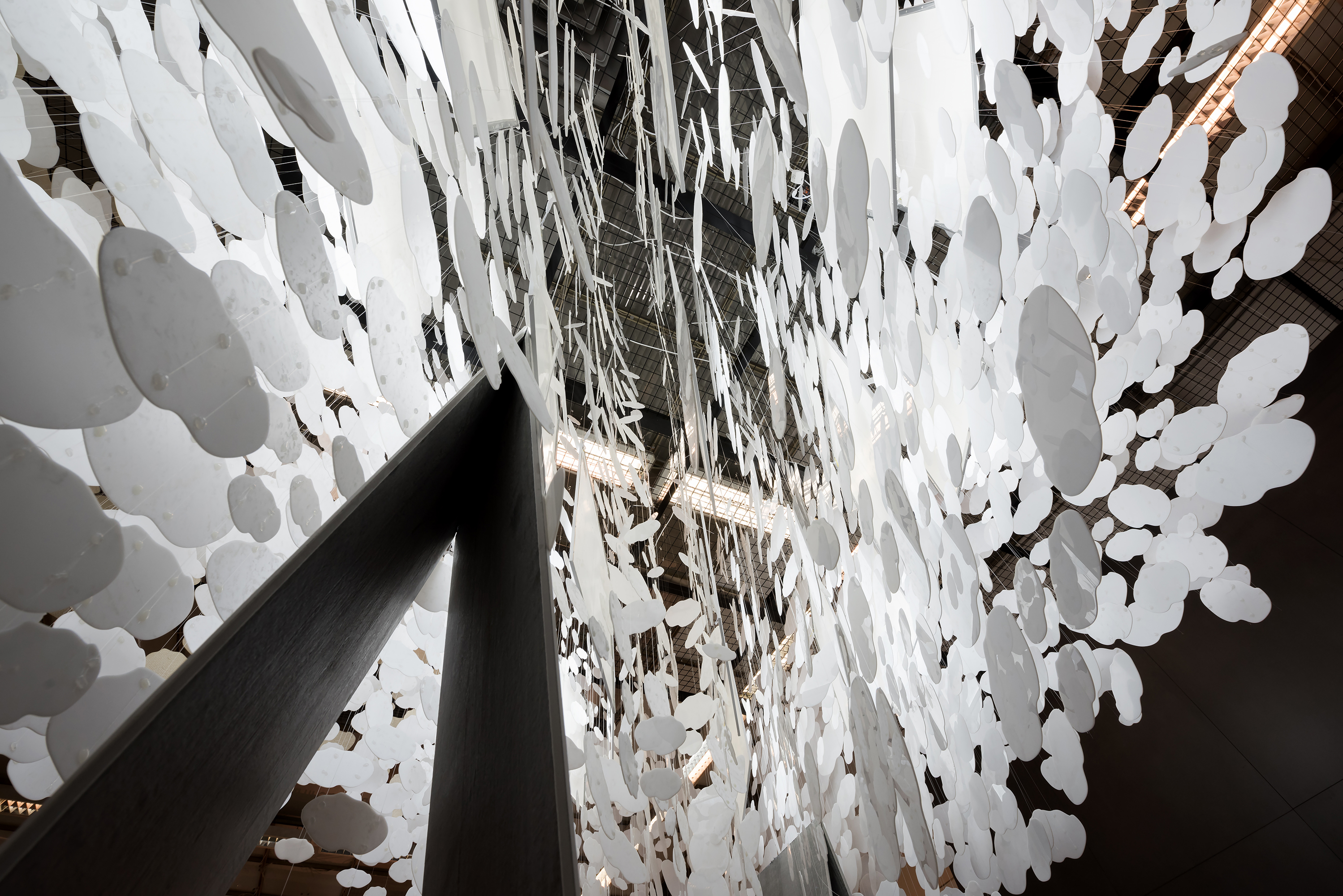 空中树（Air Tree）YoYo Bureau 设计-5