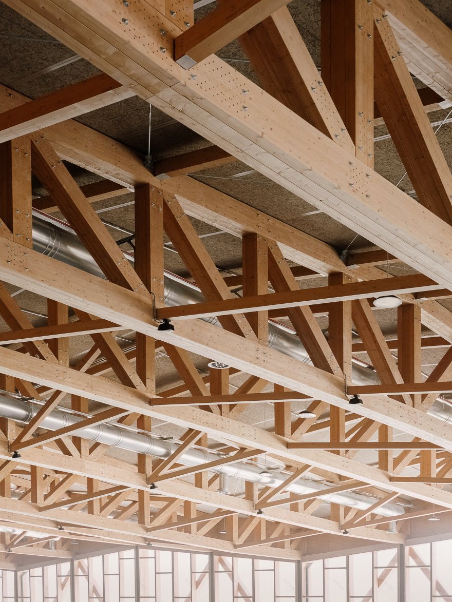 阿尔卑斯山地绿意建筑-40