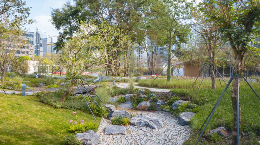 智见 · 云上 | 云之园 CLOUD PARK-129