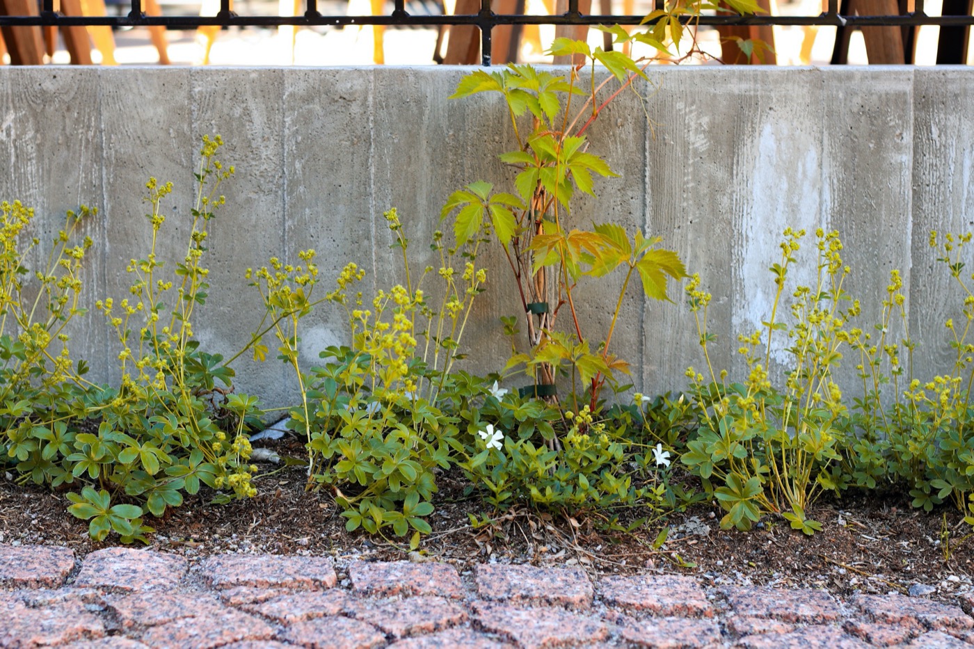 Scandic Grand Central Helsinki Courtyard | 绿色秘境酒店庭院设计-24