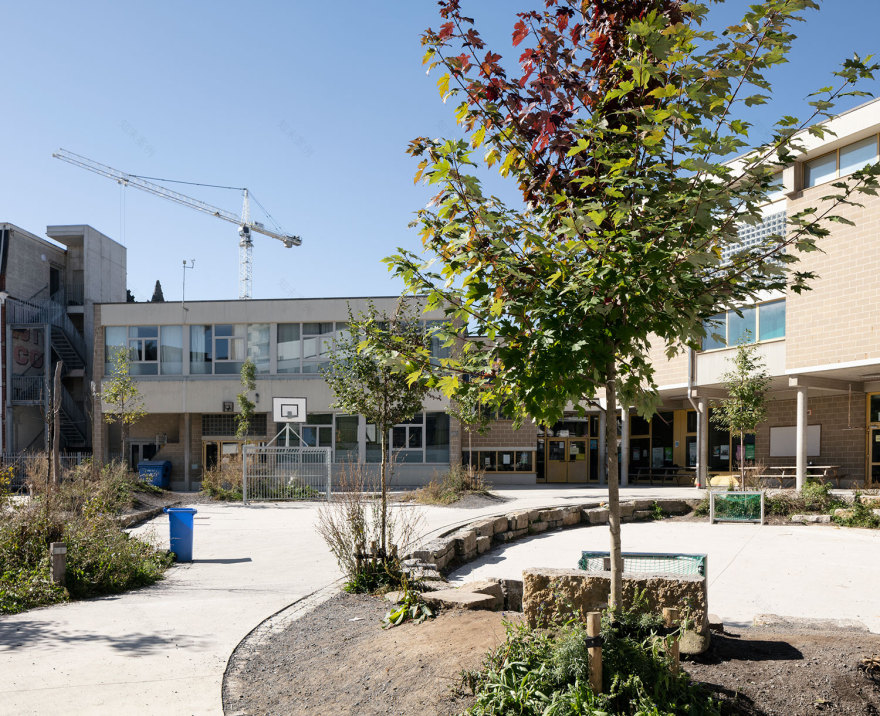 比利时校园灰色操场变身绿色冒险乐园-18