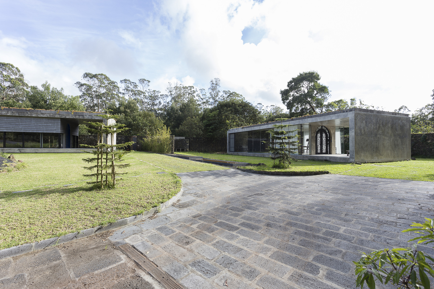 Rosa Muerta  ARCO mais-50