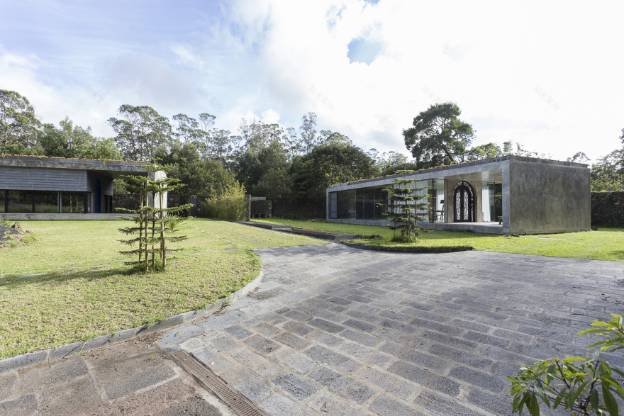 Rosa Muerta ARCO mais-50