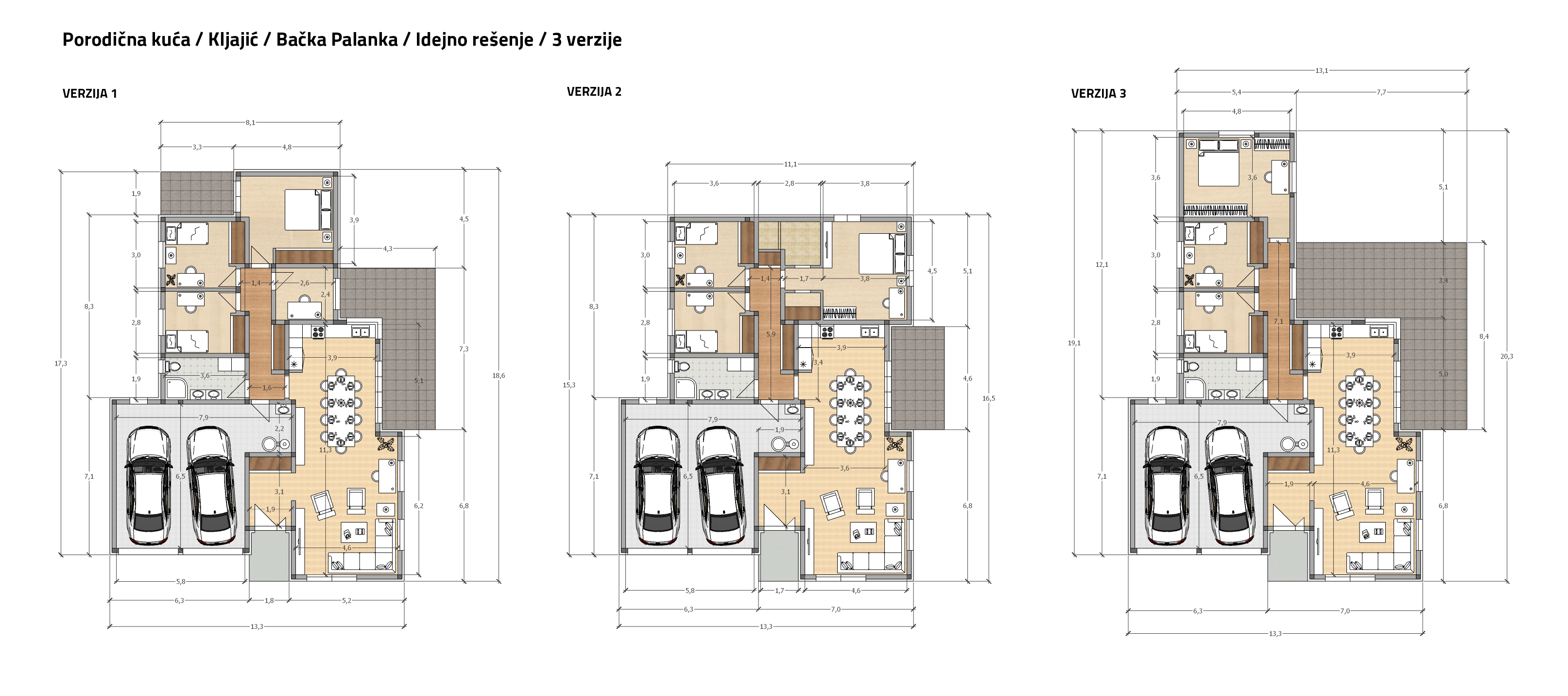 Kljajić - Idejno rešenje porodične kuće-1