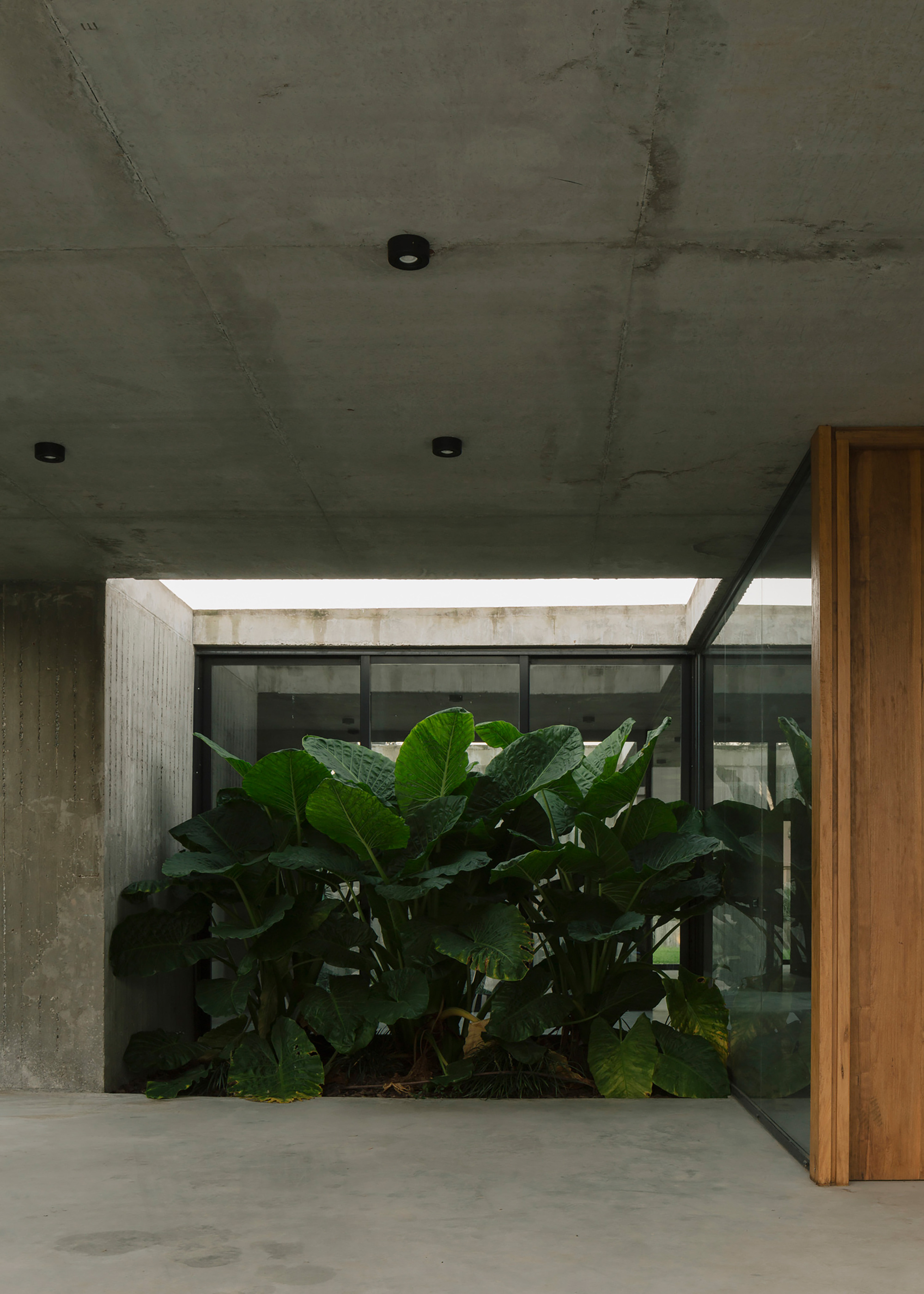 井字棋屋丨阿根廷布宜诺斯艾利斯丨VDV ARQ-18