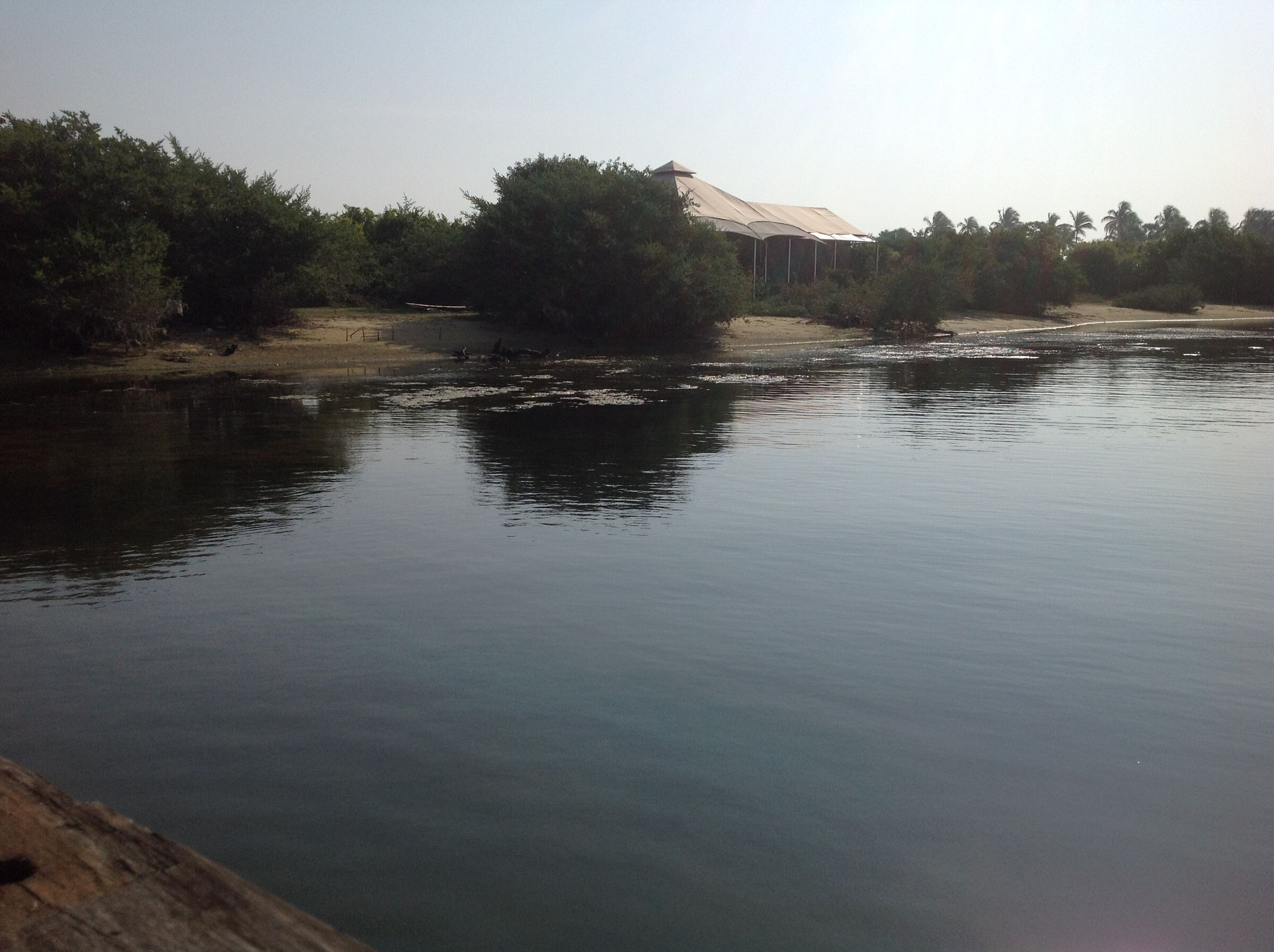 生态奢华，融入自然的帐篷营地-33