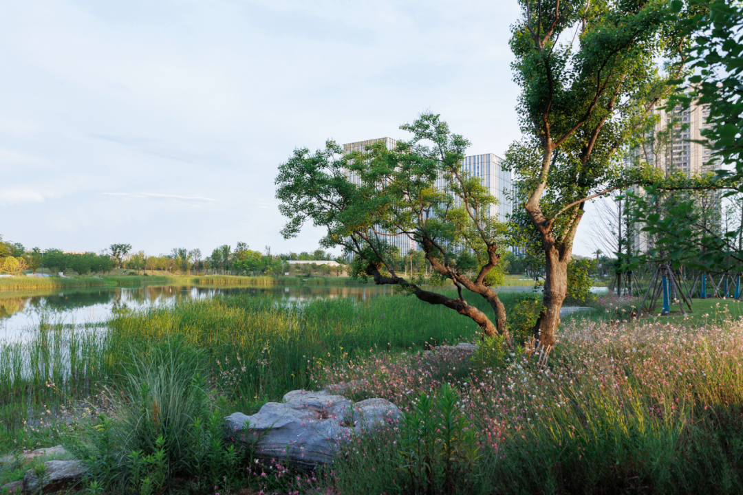 九龙湖绿地国博城雨阳公园丨中国南昌-30