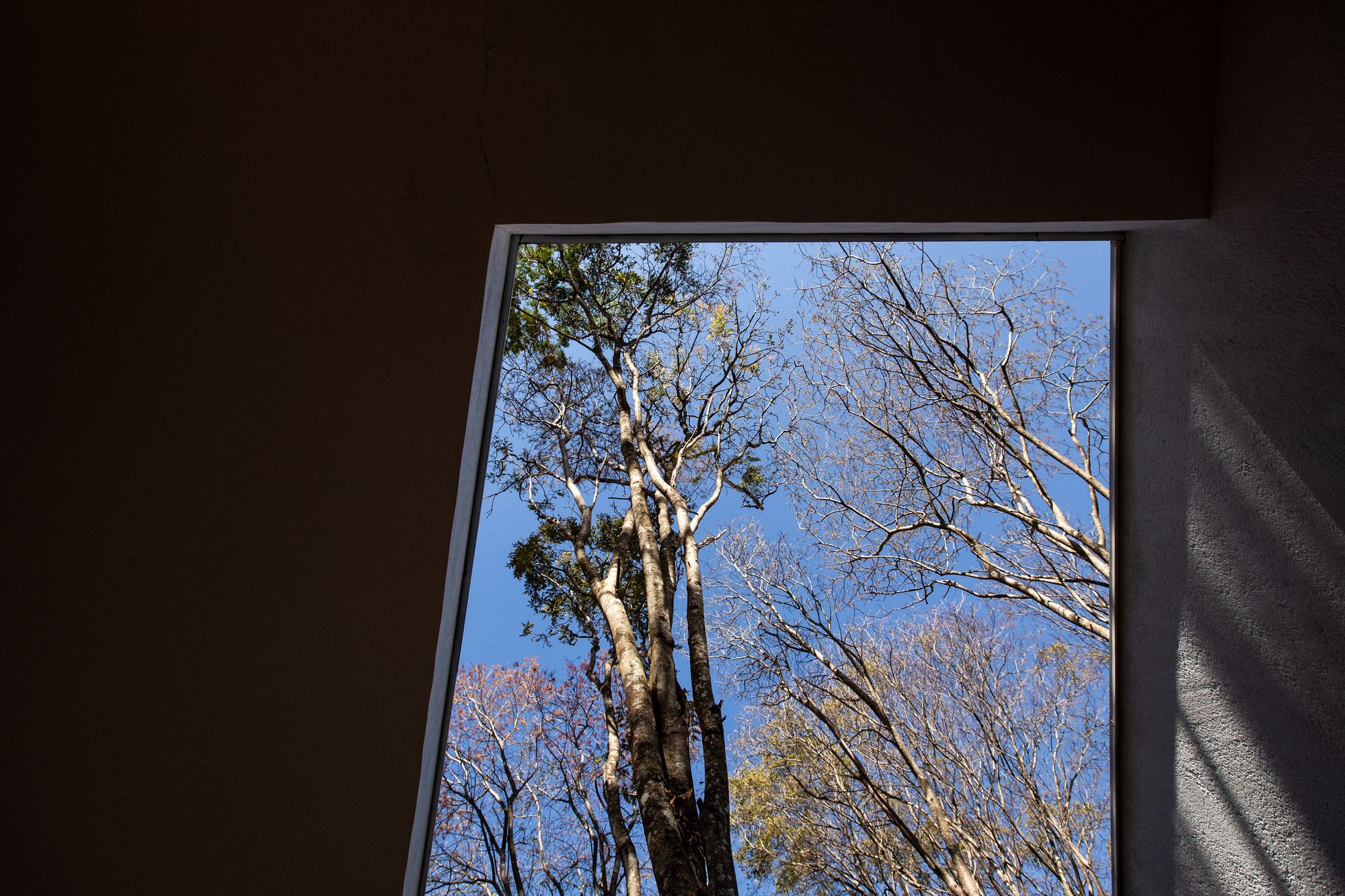 特拉豪斯丨TETRO Arquitetura-38