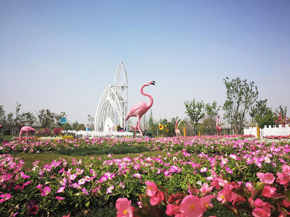 上海马可波罗奇迹花园丨艾绿尼塔-15