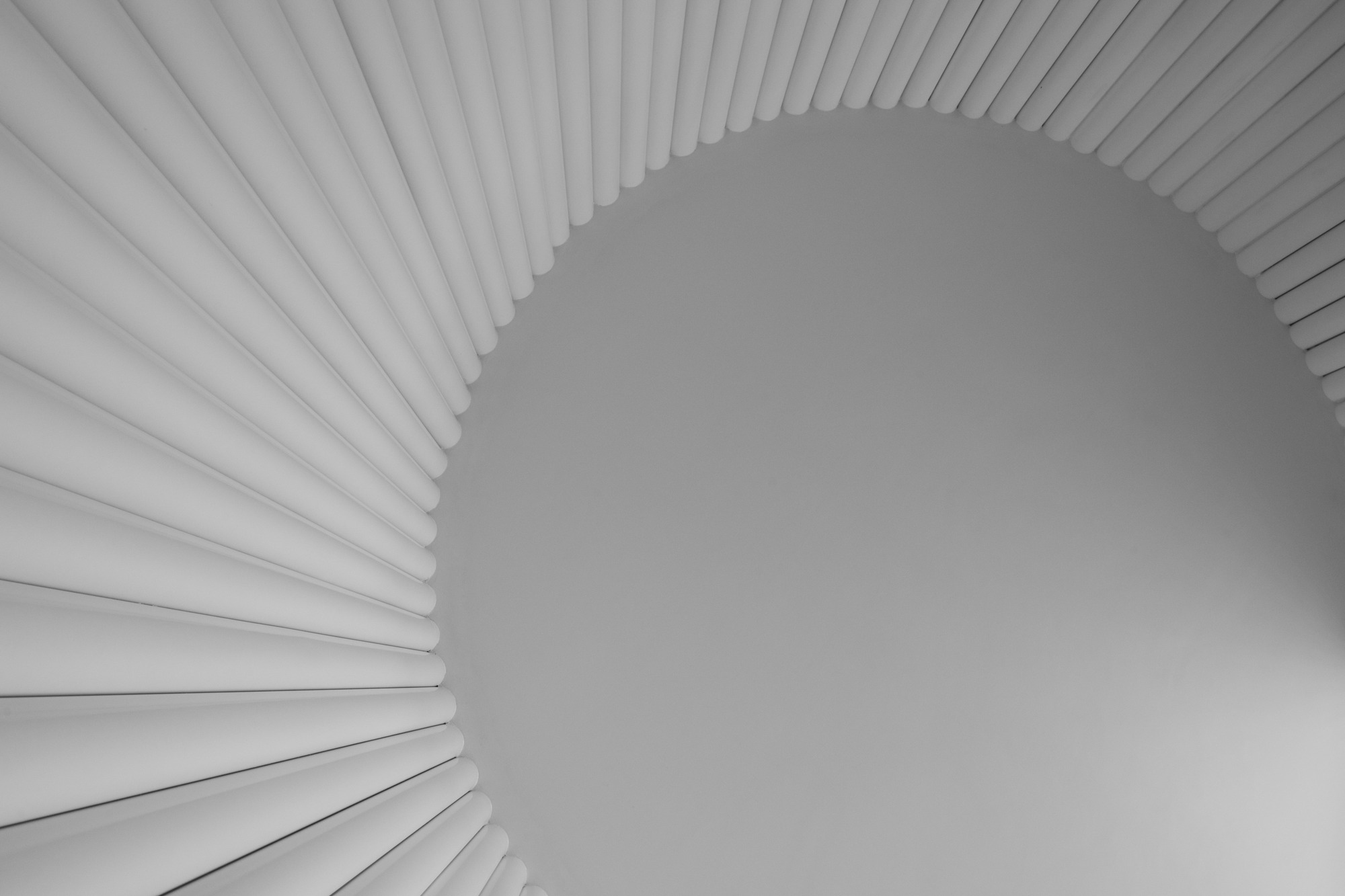 白宫（注：在葡萄牙语等语言中，Casa Branca字面意思是白色的房子，常用来指美国白宫） 丨巴西丨NEBR arquitetura-36