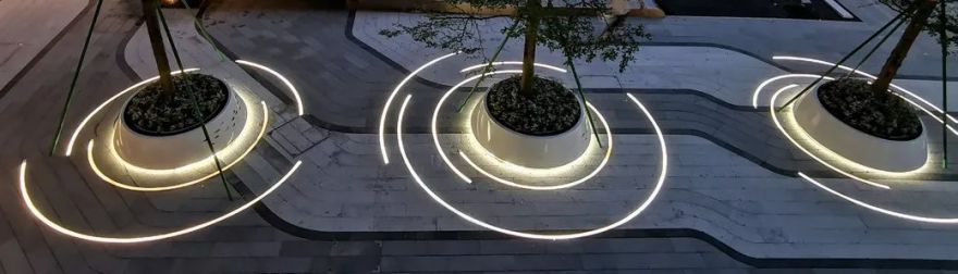 追梦的鱼儿 | 深圳华晖瑞禧-79