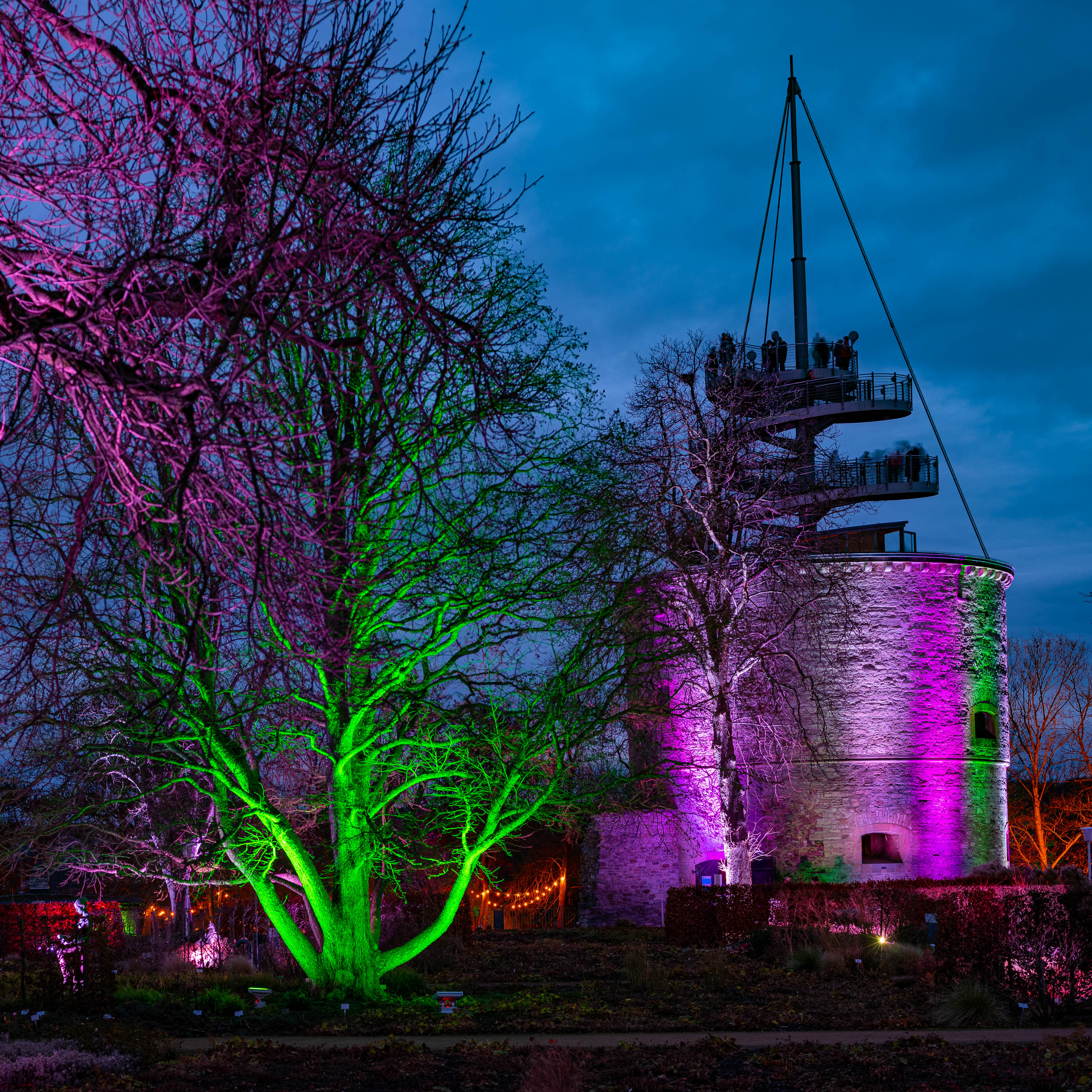 冬日之光丨德国-6