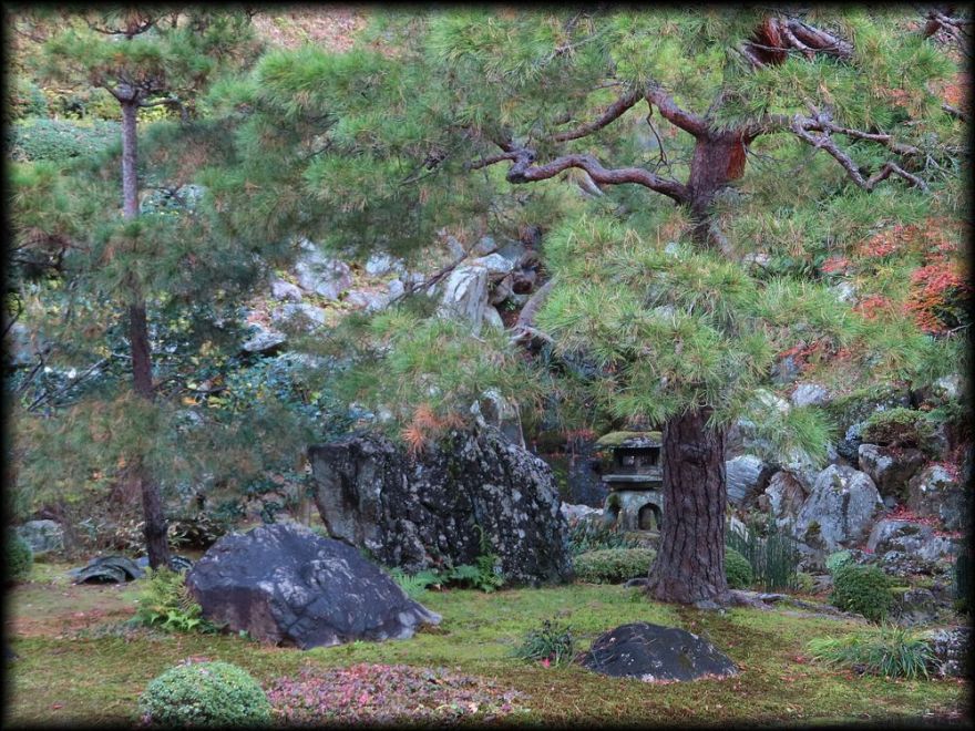 高台寺十牛庵本館庭園丨日本京都丨七代目小川治兵衛-26