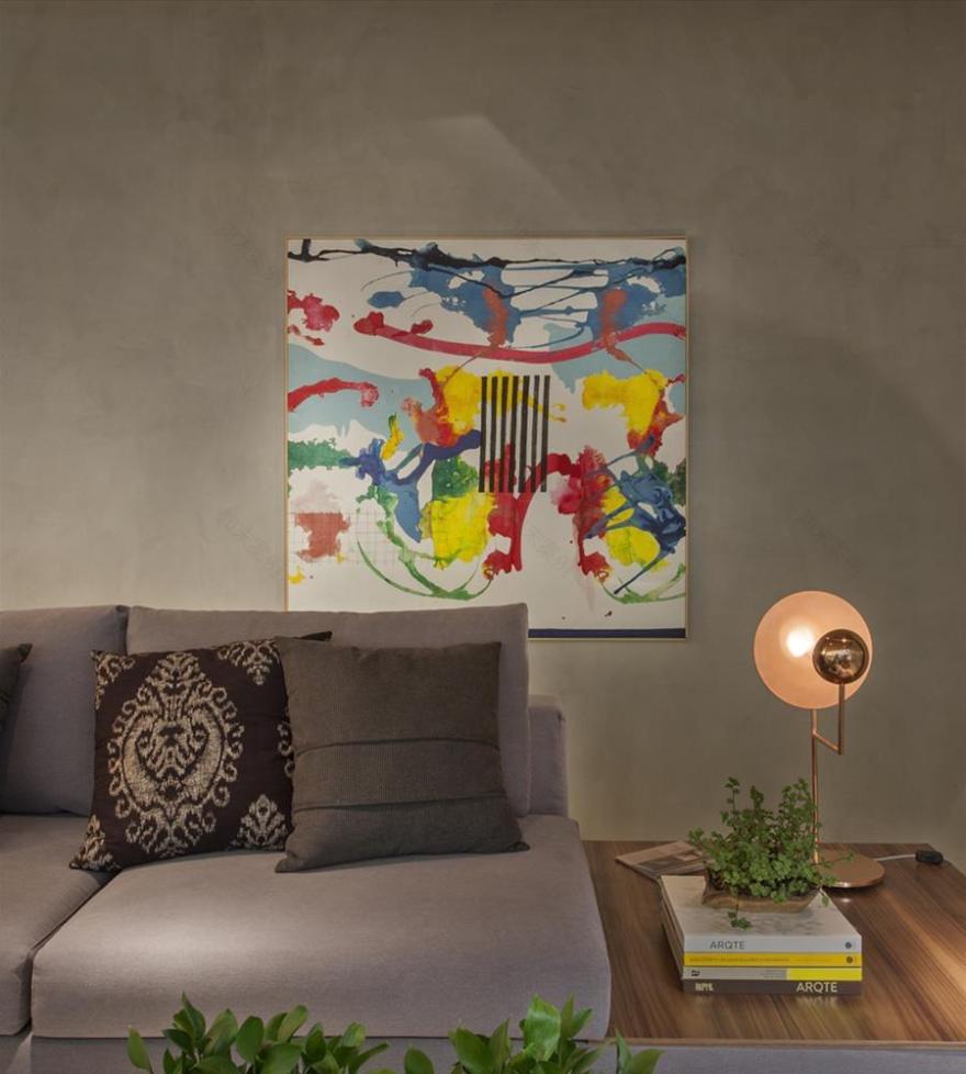 巴西 Campinas 2015 家居入口大厅设计-3