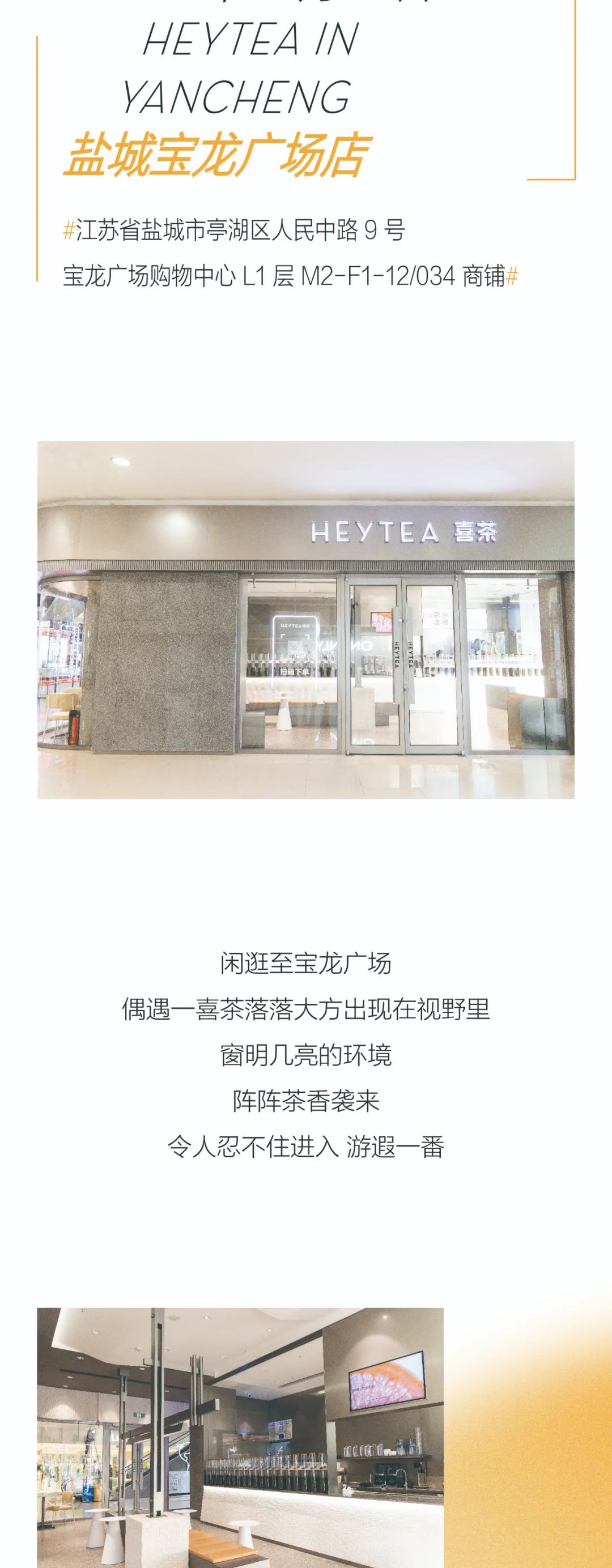 喜至盐城，茶香袅袅-3