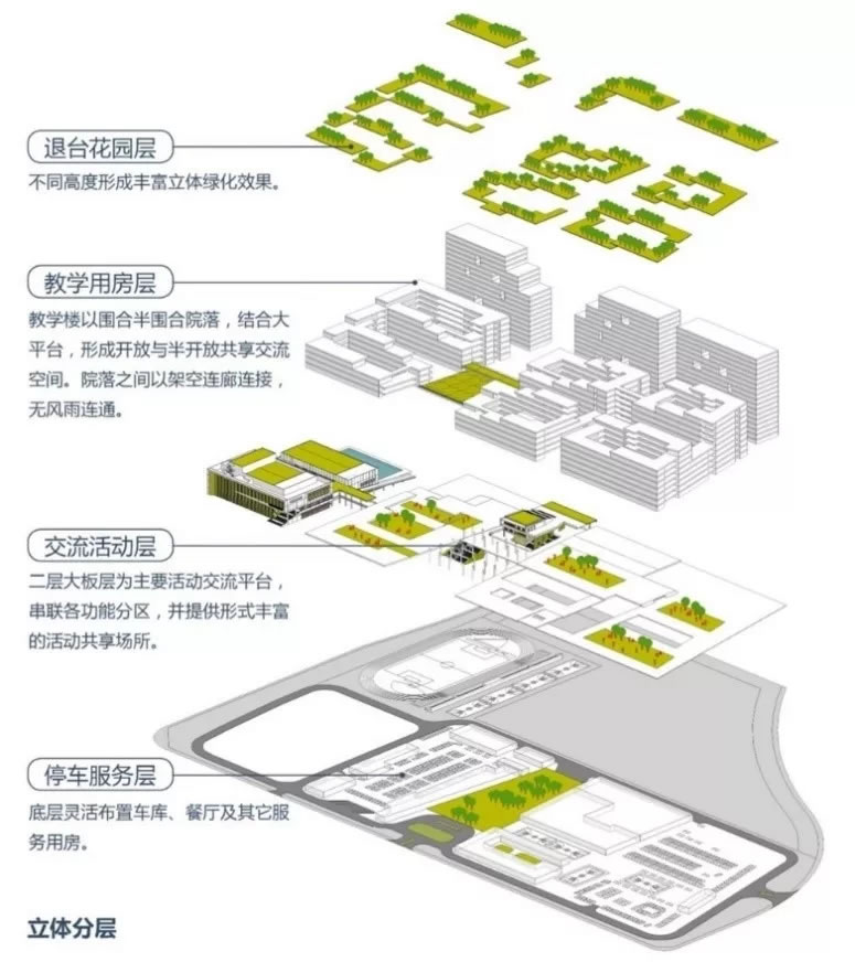 碧桂园森林城市嘉德圣玛丽国际学校-17