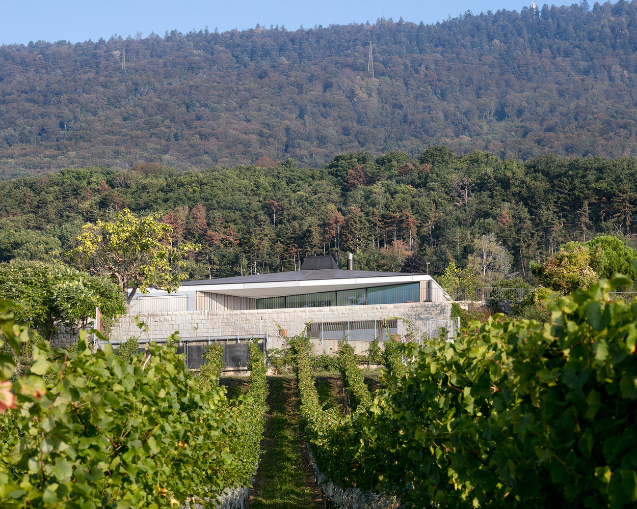 瑞士 Hauterive 湖畔混凝土与玻璃的现代住宅-70