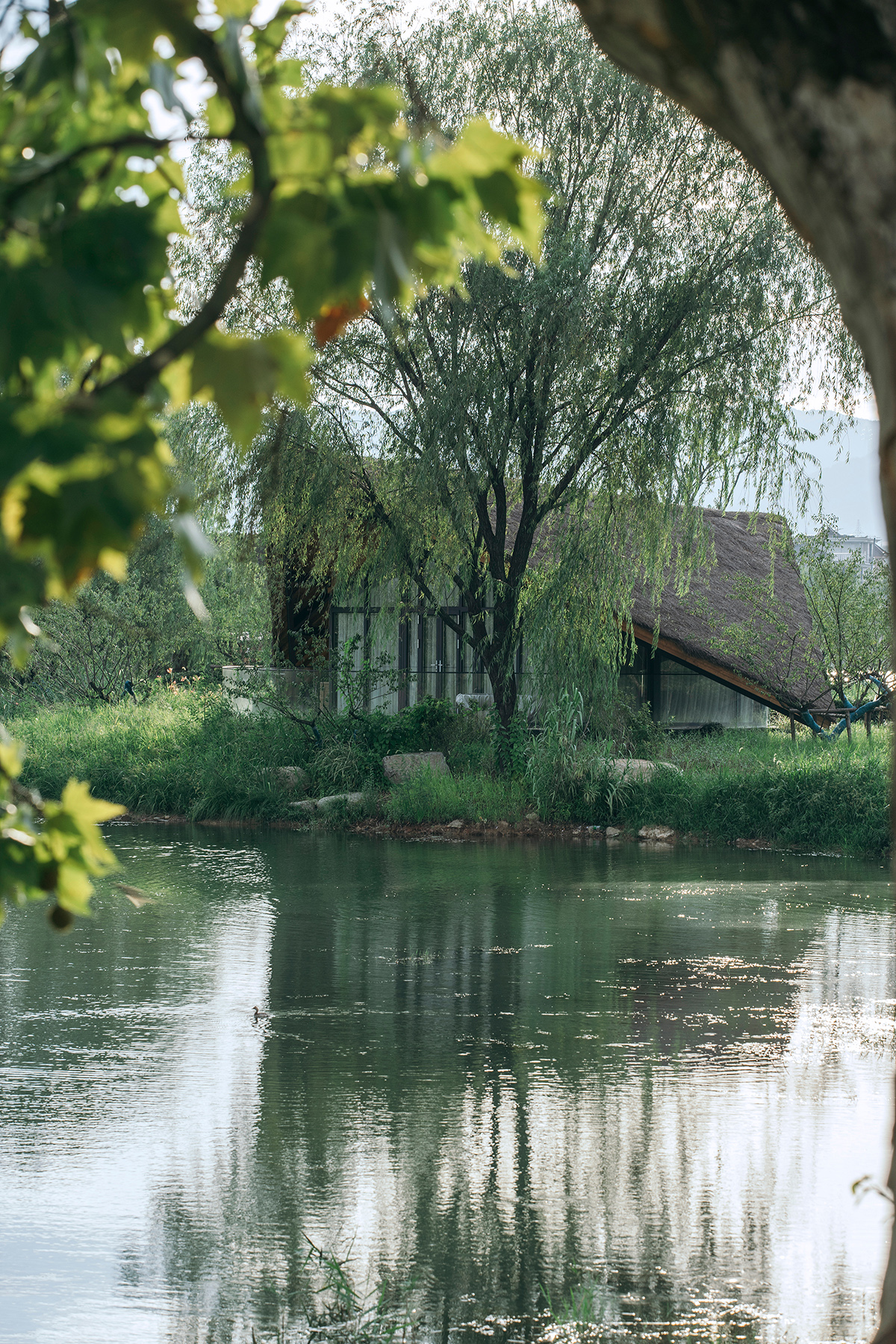 富阳阳陂湖湿地生态酒店丨中国杭州丨尌林建筑设计事务所-43