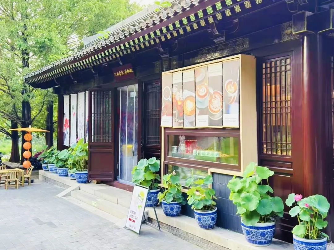 海淀新添宝藏打卡地！古风茶咖随手拍，就在这个公园——-0