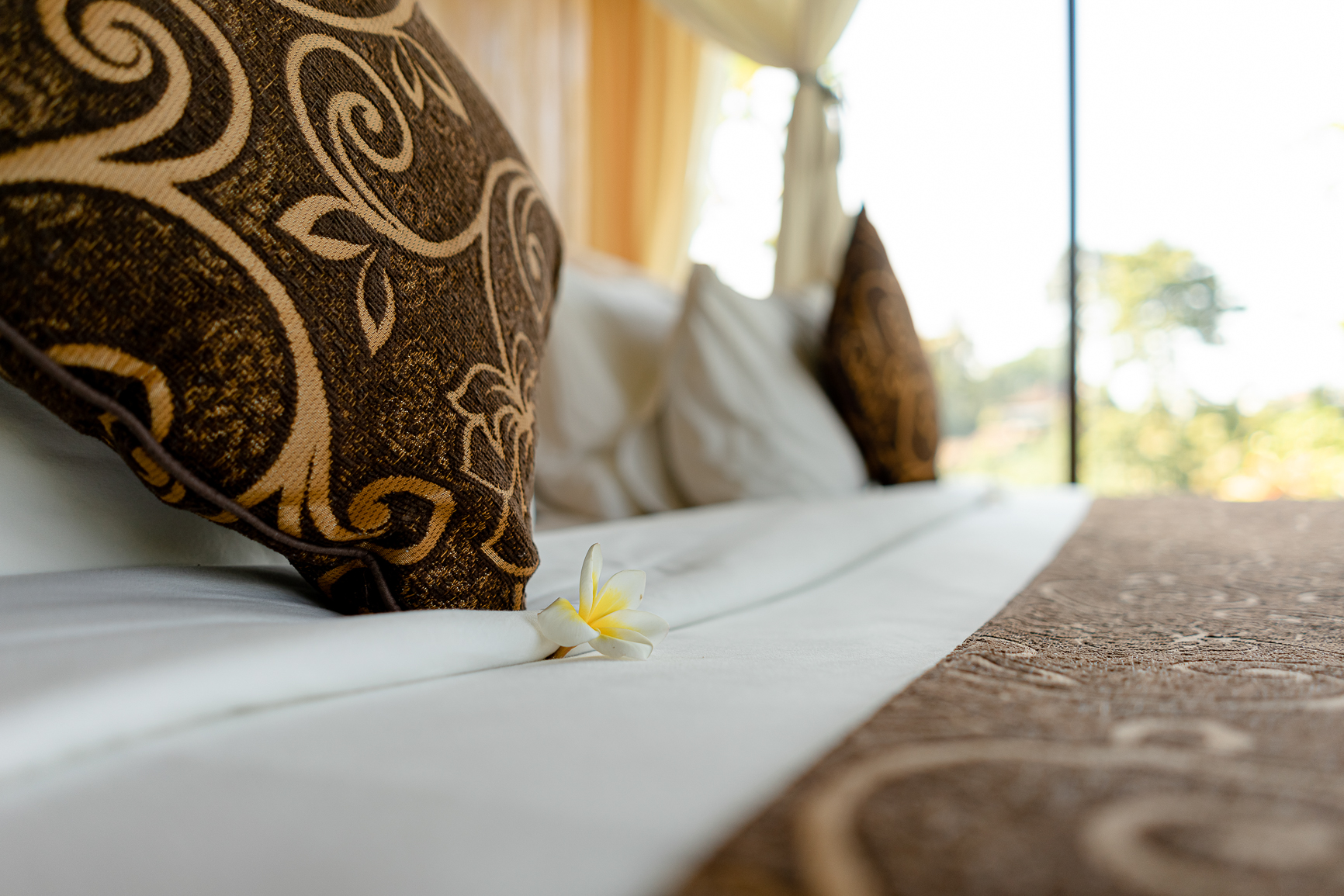 阿南达库布别墅丨@agung_abeevisual-12