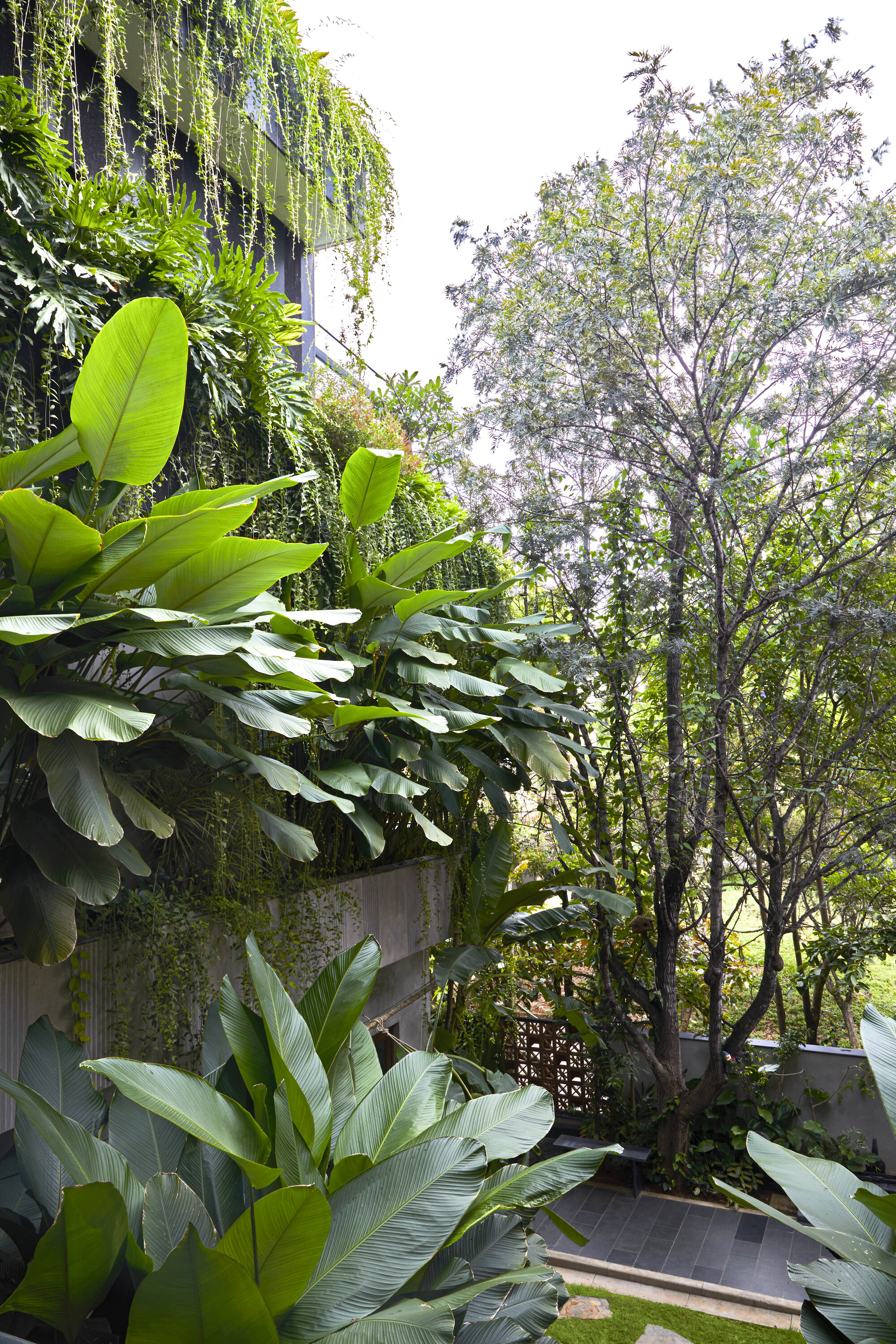 58 号项目住宅丨印度班加罗尔丨The Purple Ink Studio-35