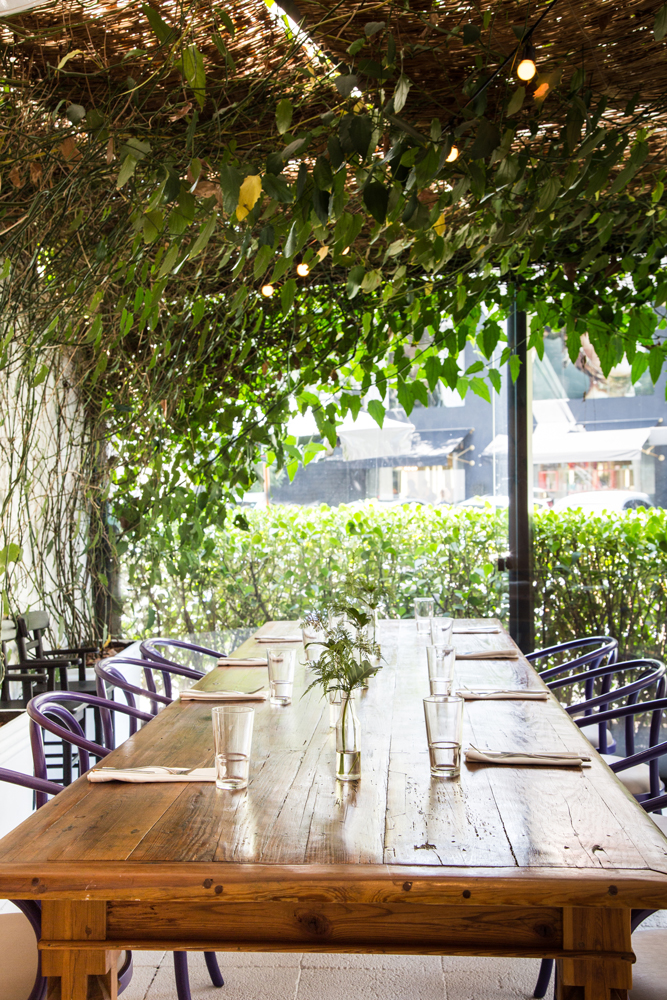 RESTAURANTE FIGO _ SP Consuelo Jorge-10