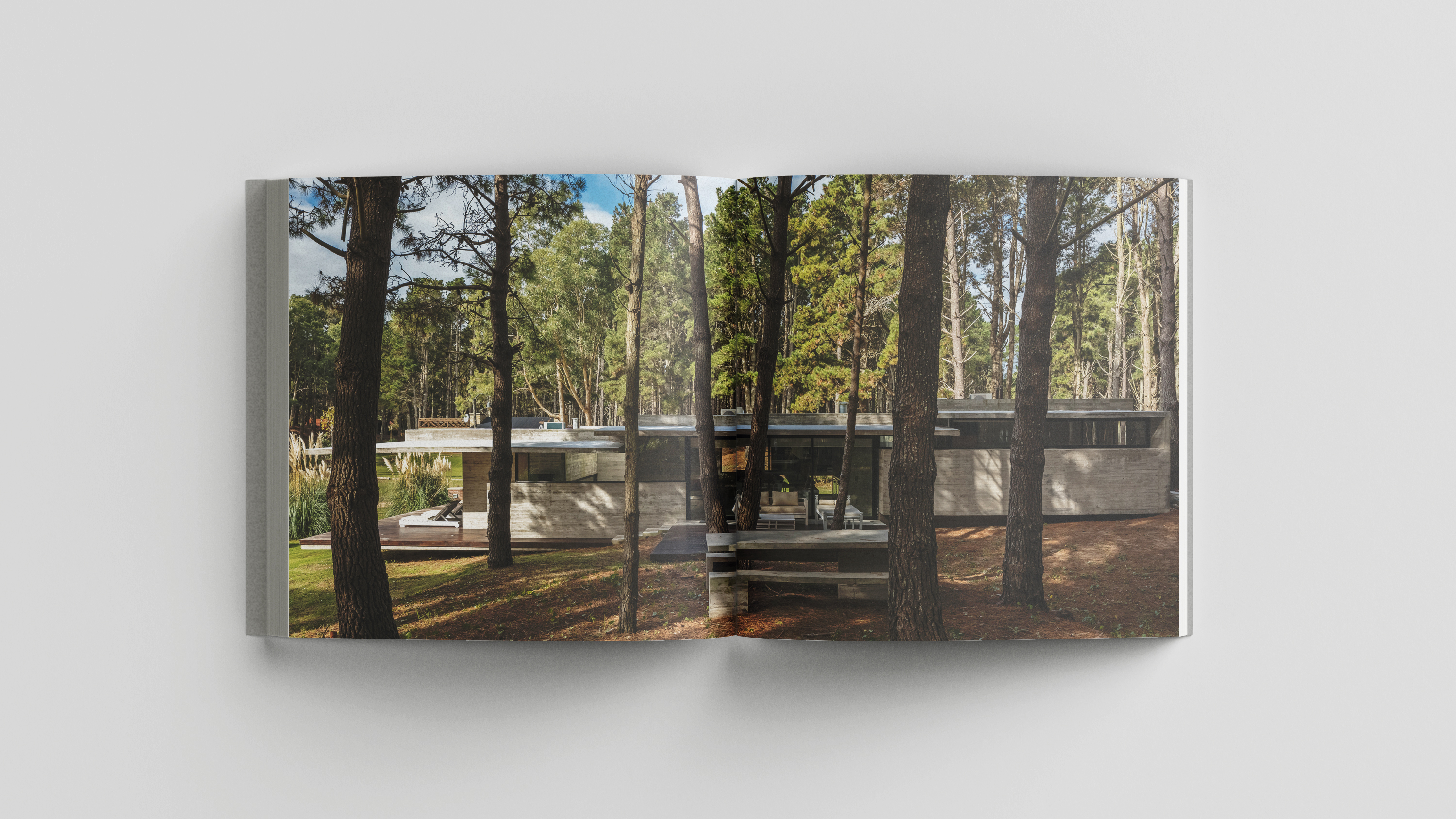 具体自然丨阿根廷-11