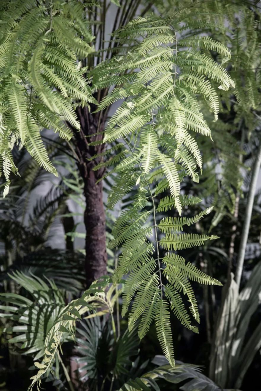 半汤温泉文化中心(泉食餐厅)丨中国合肥丨上海柯翊建筑设计有限公司-43