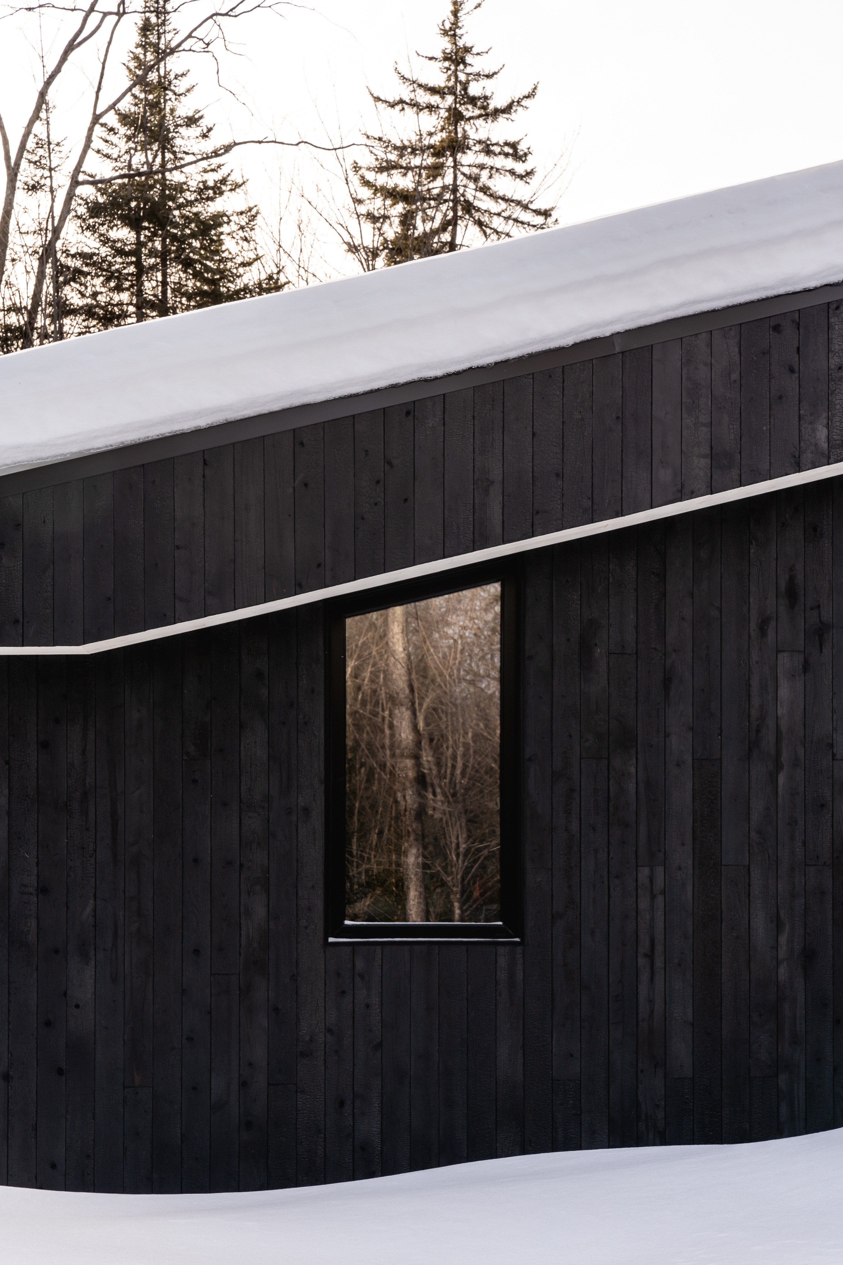 加拿大森林中的艺术创作绿洲丨Nicholas Francoeur-20