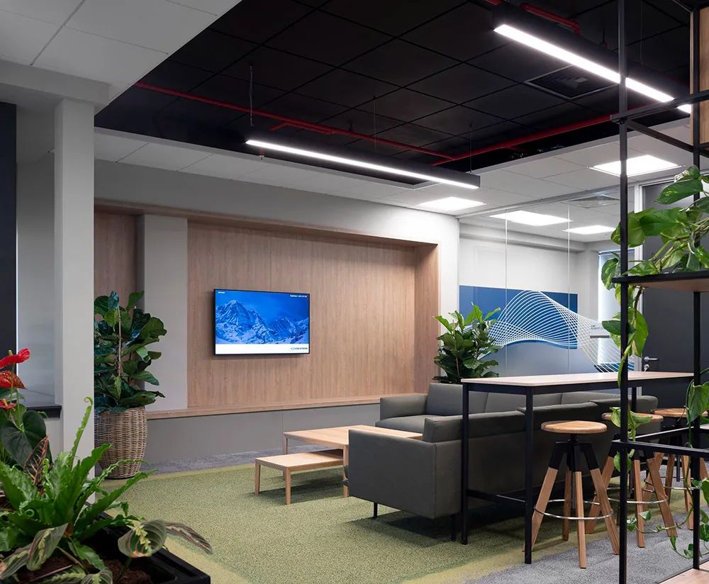 爱尔兰制药公司办公空间-16