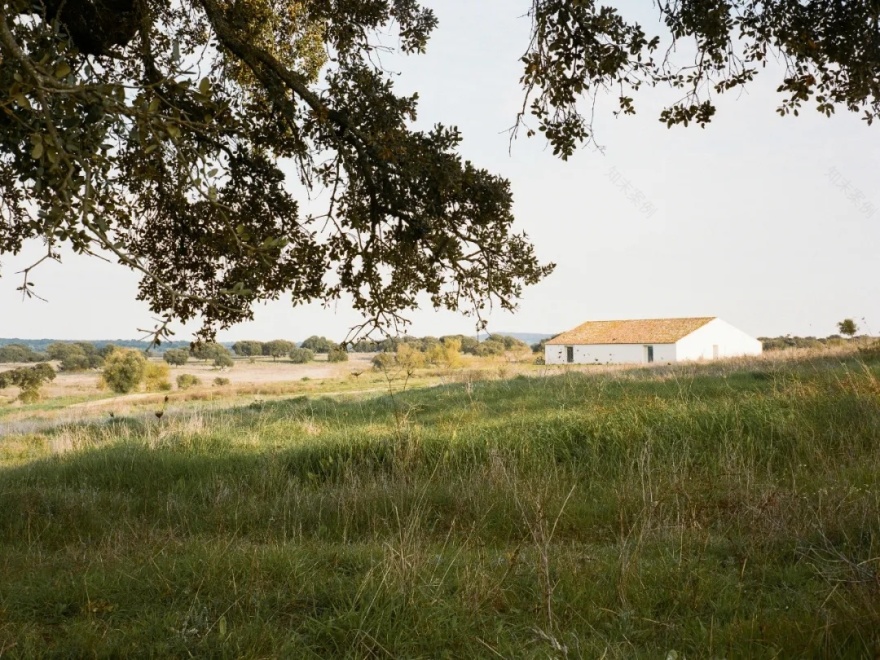 Aires Mateus 建筑事务所丨葡萄牙里斯本丨Aires Mateus Architecture-3