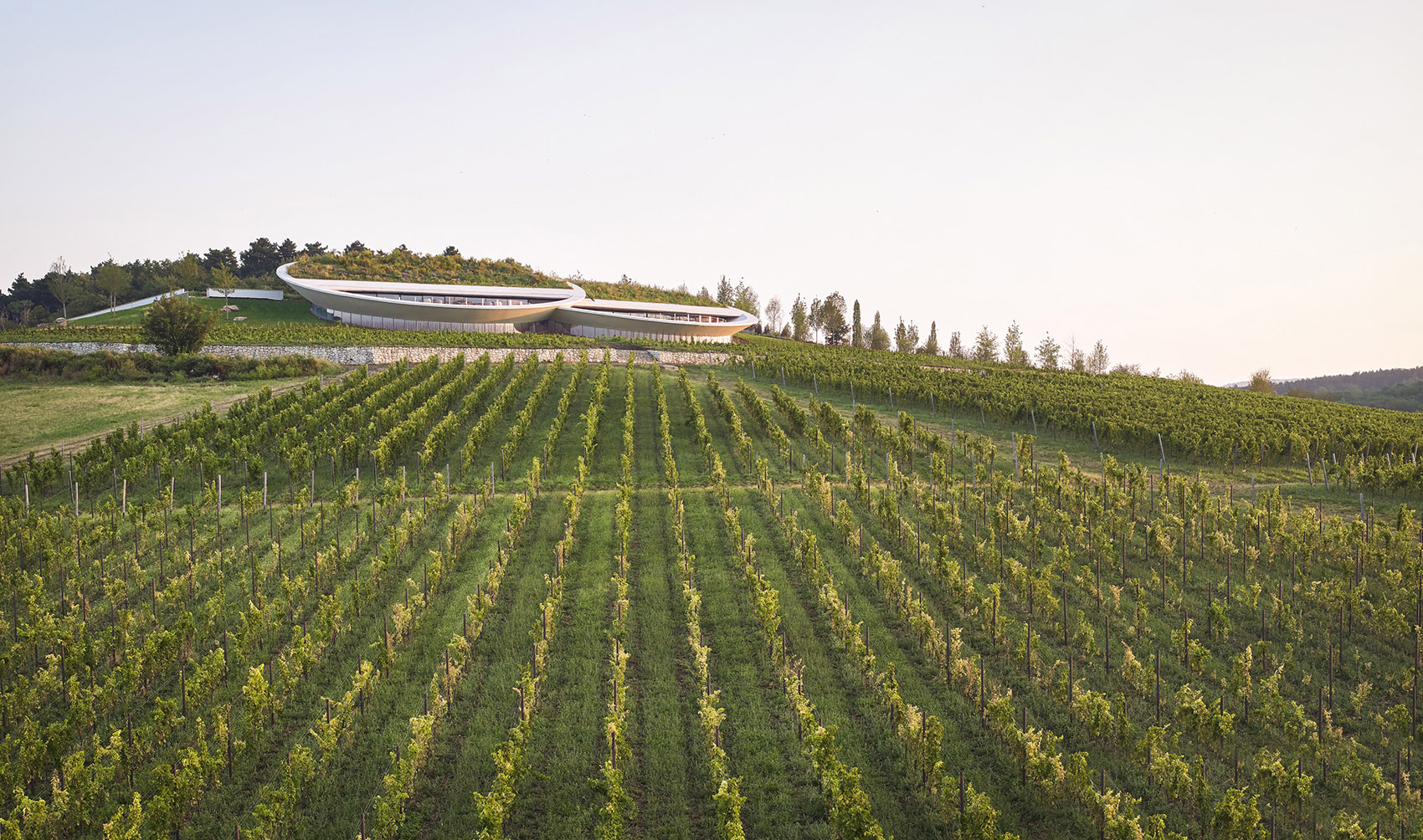 Sauska Tokaj酿酒厂，匈牙利 / BORD Architectural Studio-12