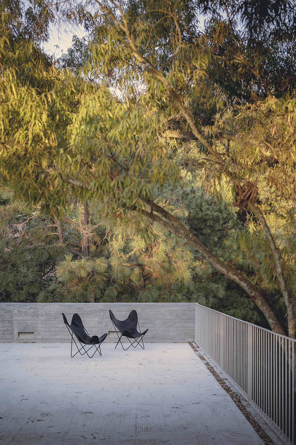 AMAPA 住宅丨墨西哥瓜达拉哈拉丨Pérez Gómez Arquitectura-50