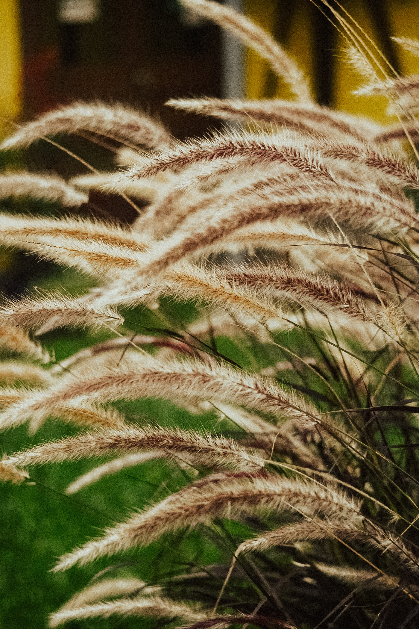 Anastasiya Gushchina丨公寓建筑丨RIO GRANDE DO SUL-3