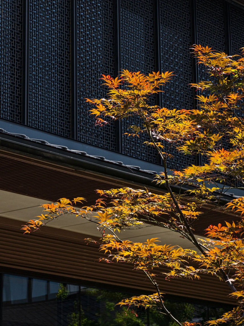 宁波杭州湾君澜理酒店丨中国宁波丨矩阵纵横-12