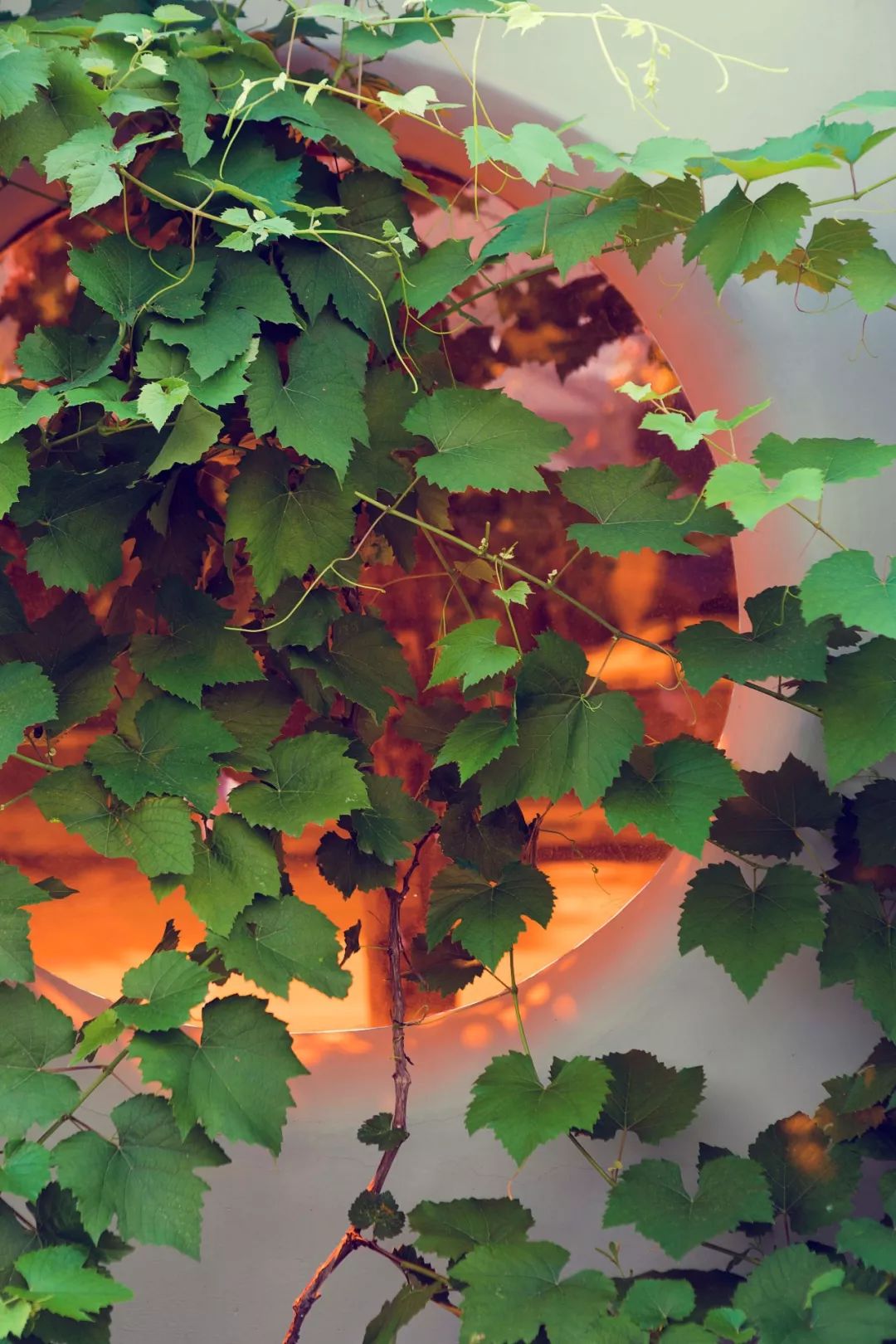 沈阳甜物研食，法式浪漫与自然生机的美妙融合-37