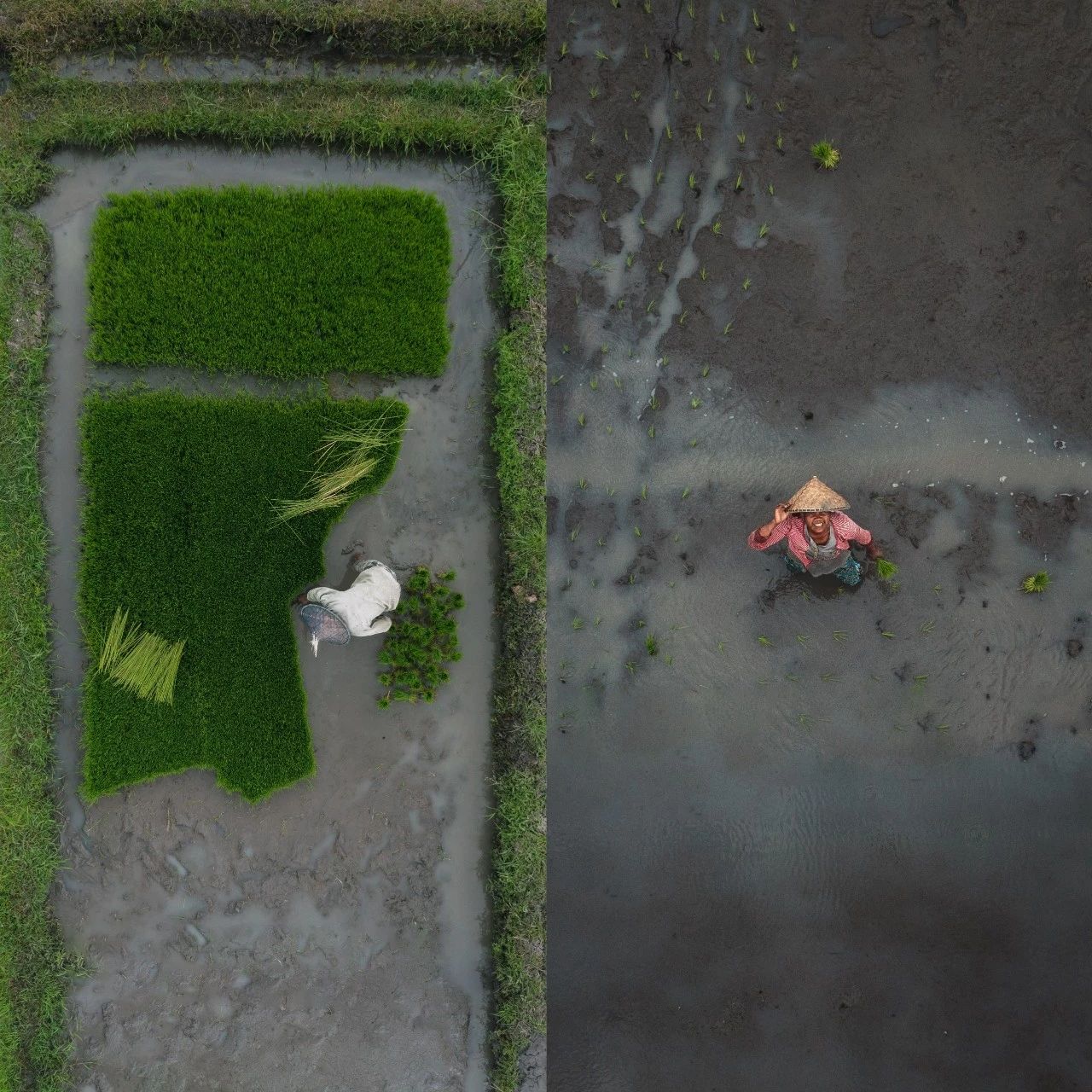 巴厘岛苏丽酒店丨印度尼西亚巴厘丨曾仕乾-73