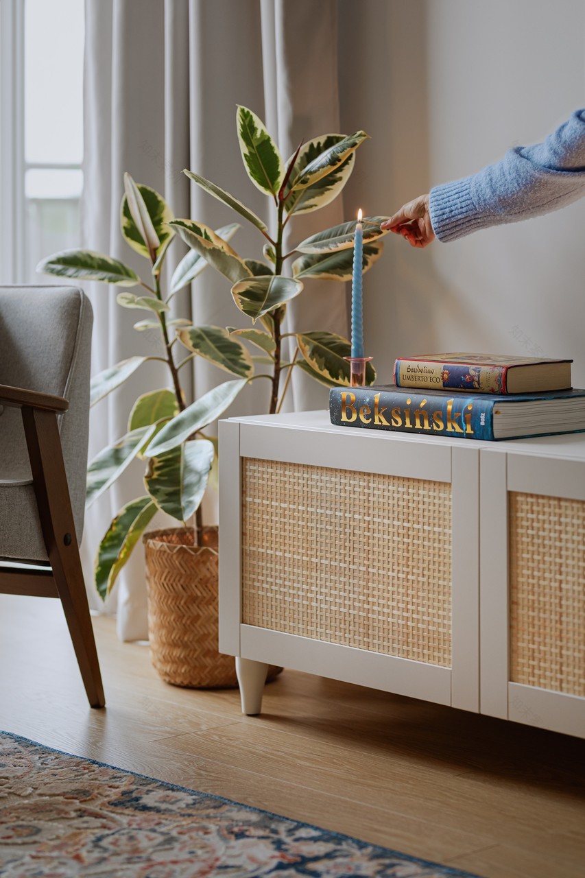 38平格但斯克ny scandi风格公寓设计丨波兰格但斯克丨Jemioł Concept-19