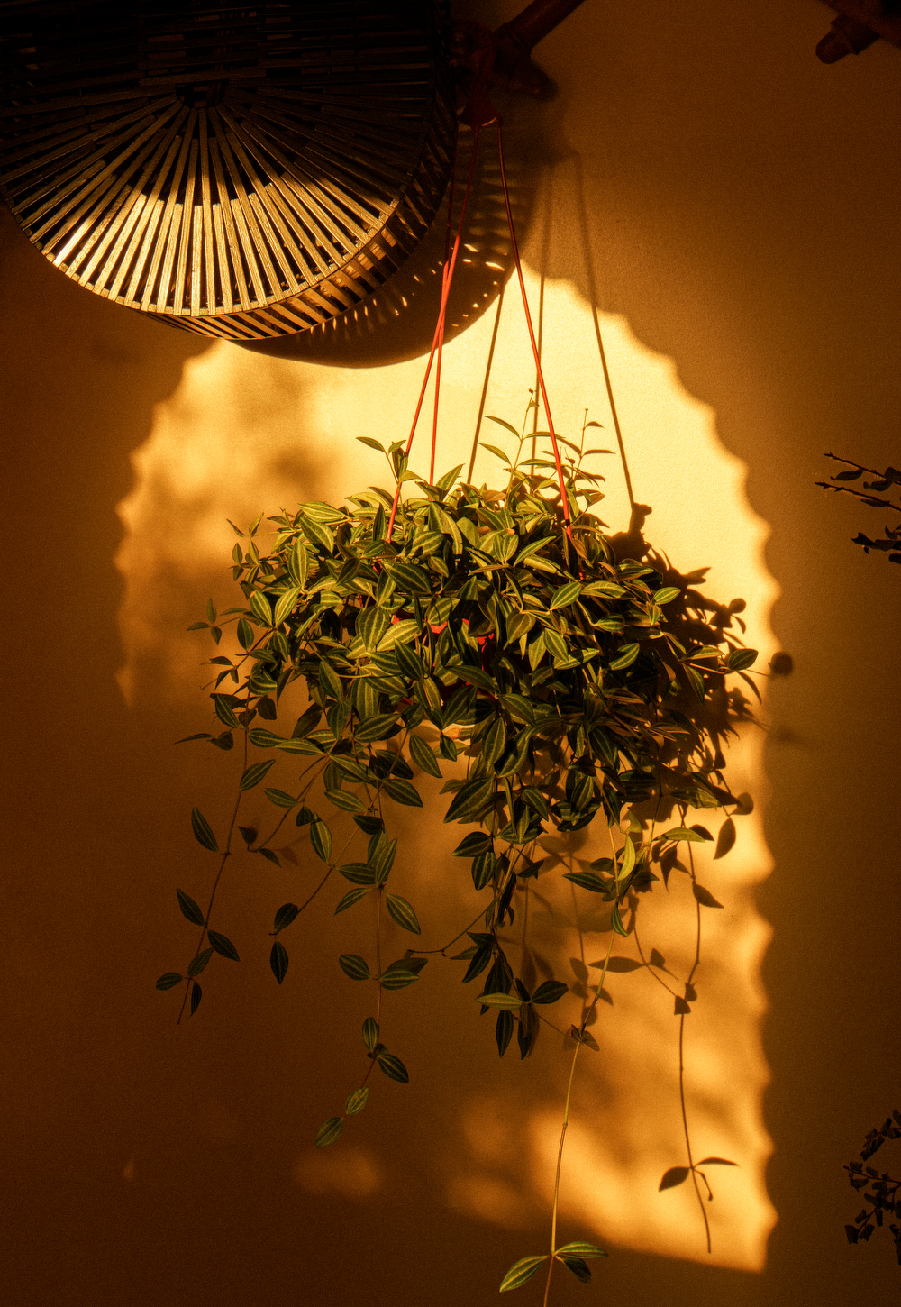 意樂岛丨中国台州丨温州大墨空间设计-11