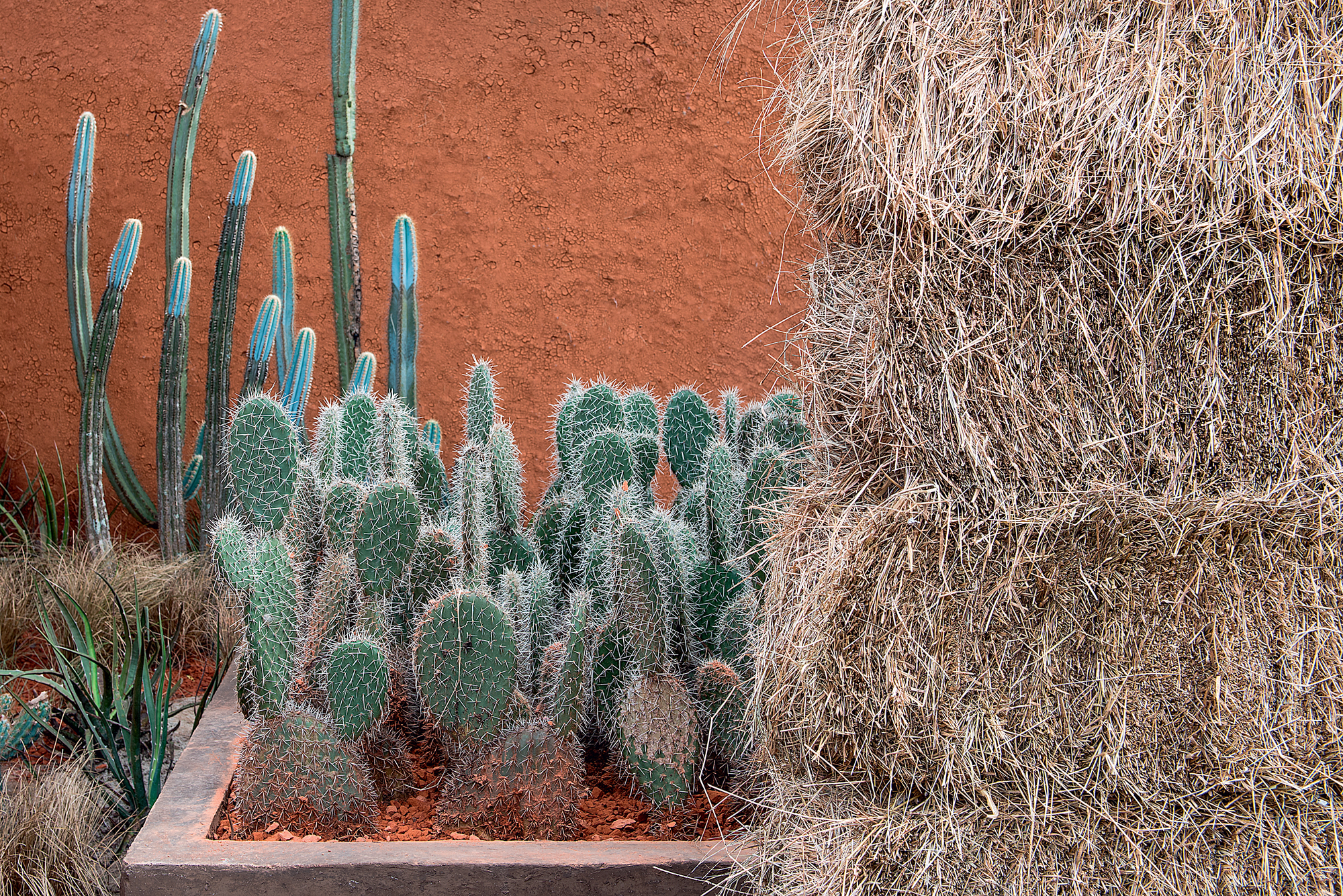 61个创意花园设计丨多位设计师-27