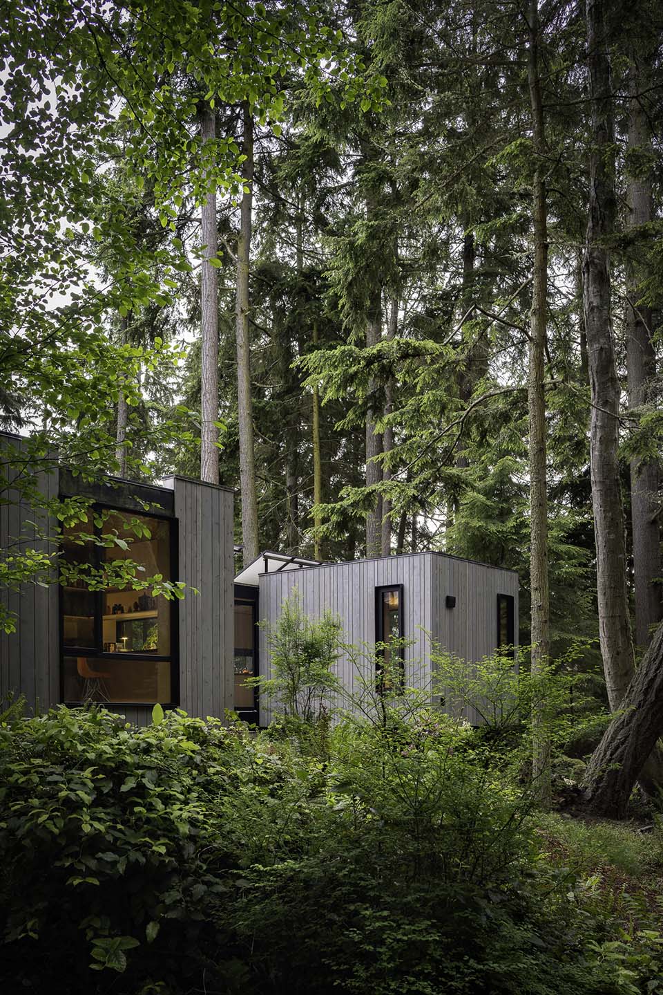 Whidbey模块化预制住宅丨美国华盛顿丨Wittman Estes-75