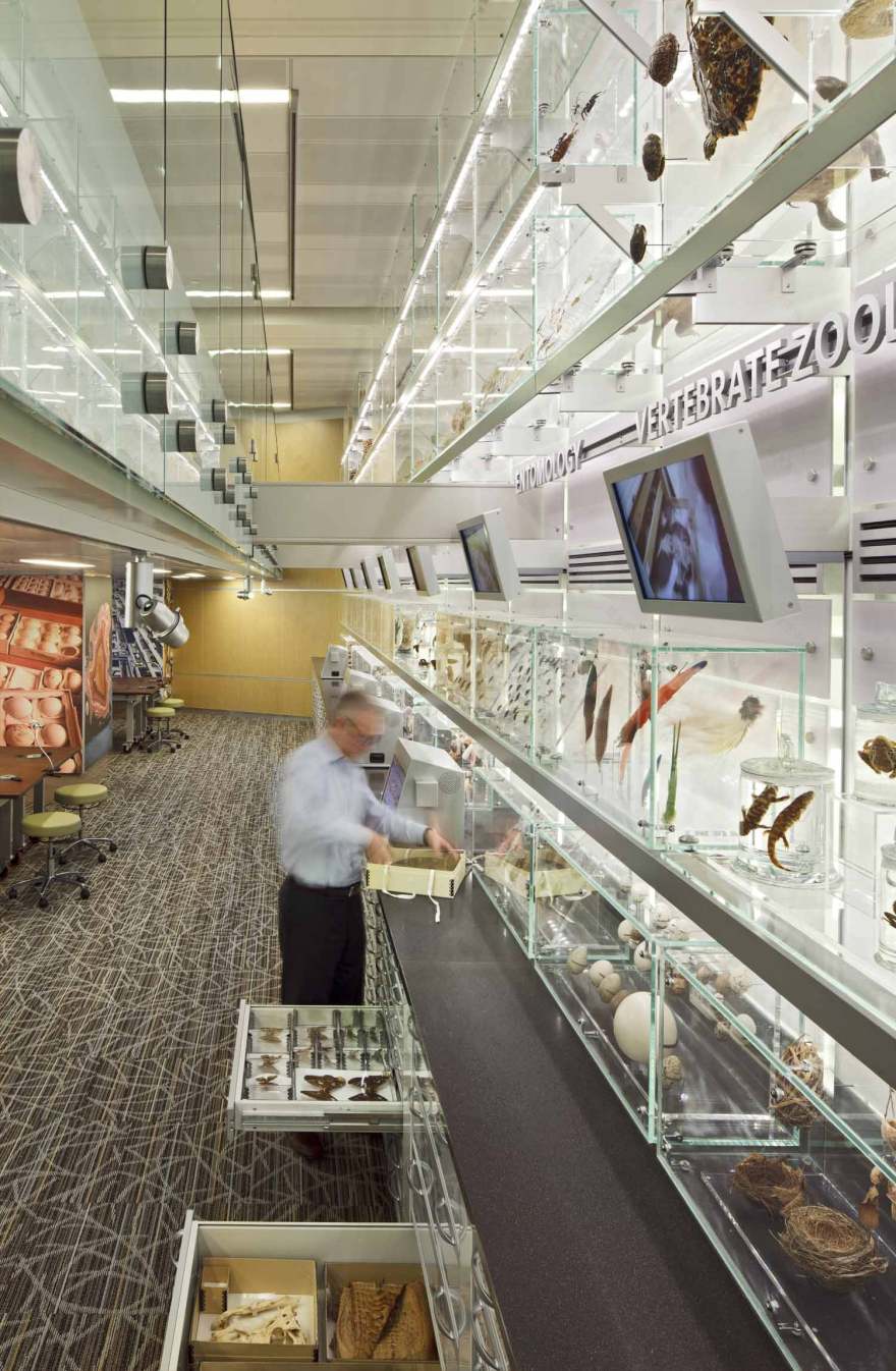 自然历史博物馆教育中心 | 互动式体验的设计亮点-10