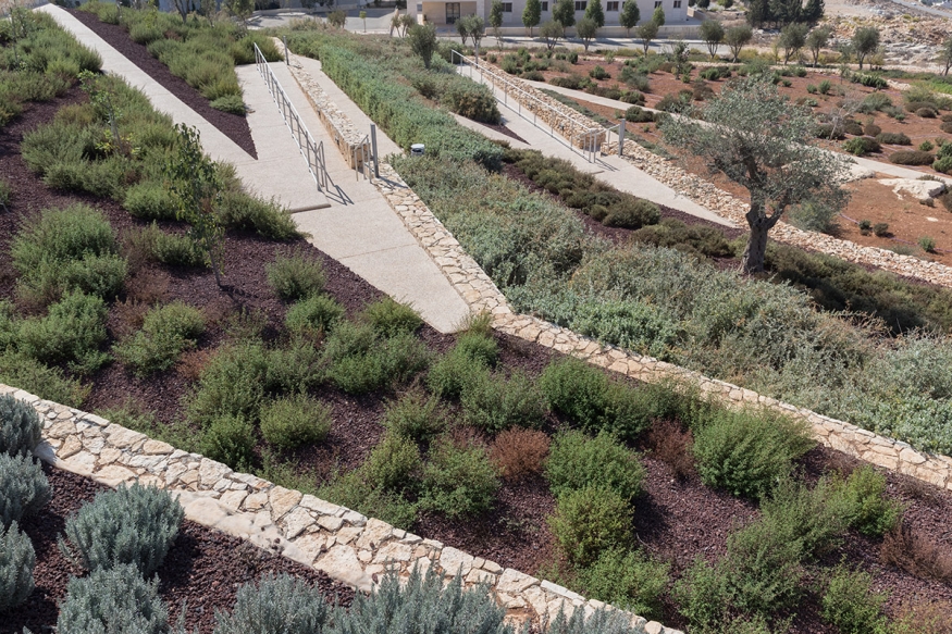heneghan peng architects - Palestinian Museum | Bir Zeit-8