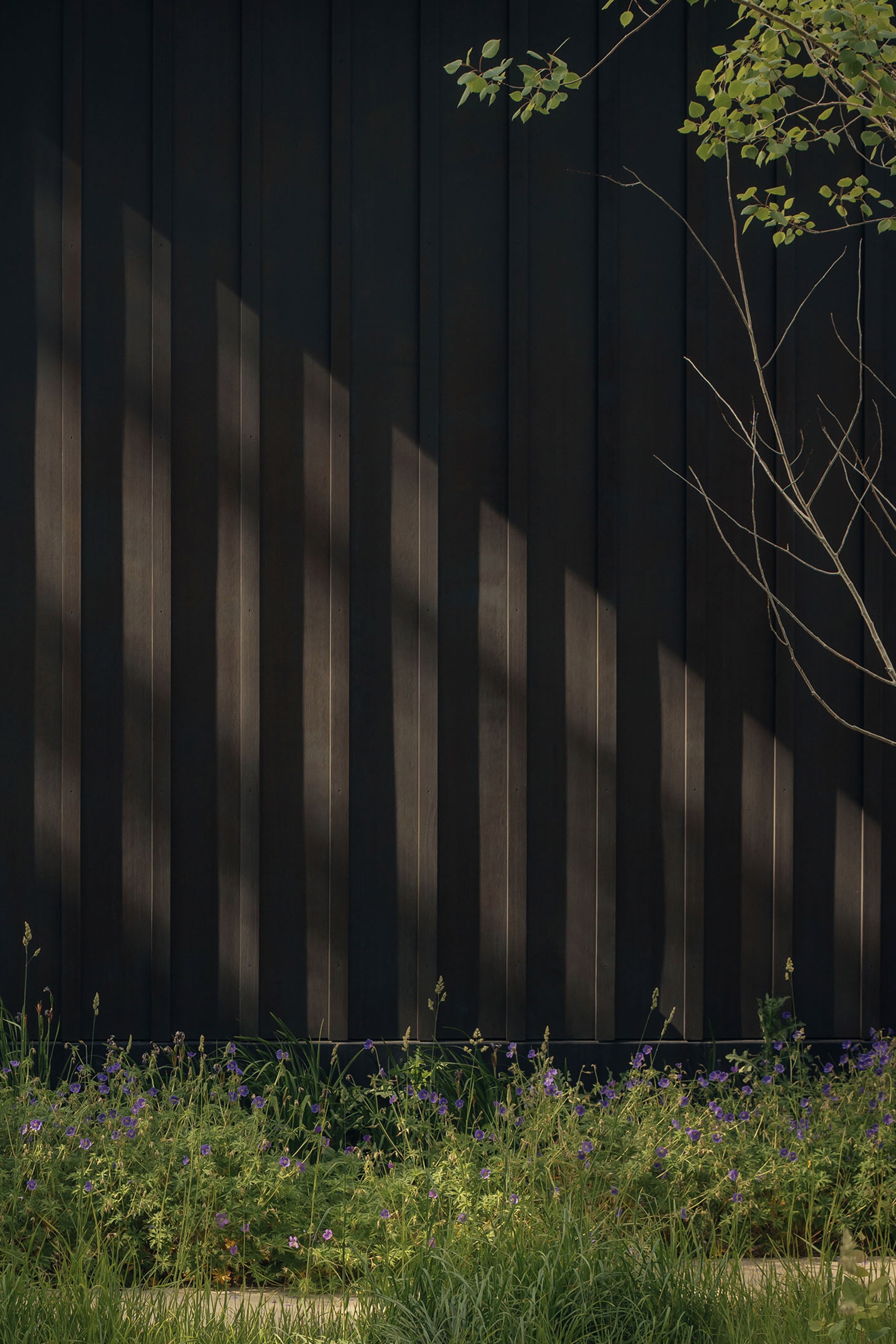 Snake River Cabin住宅丨美国怀俄明丨McLean Quinlan-9