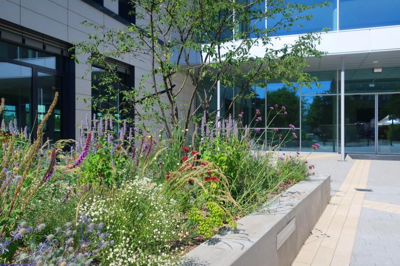 fagus | seelemann Landschaftsarchitekten丨Verwaltungsgebäude Porta Alte Messe Leipzig丨德国-11