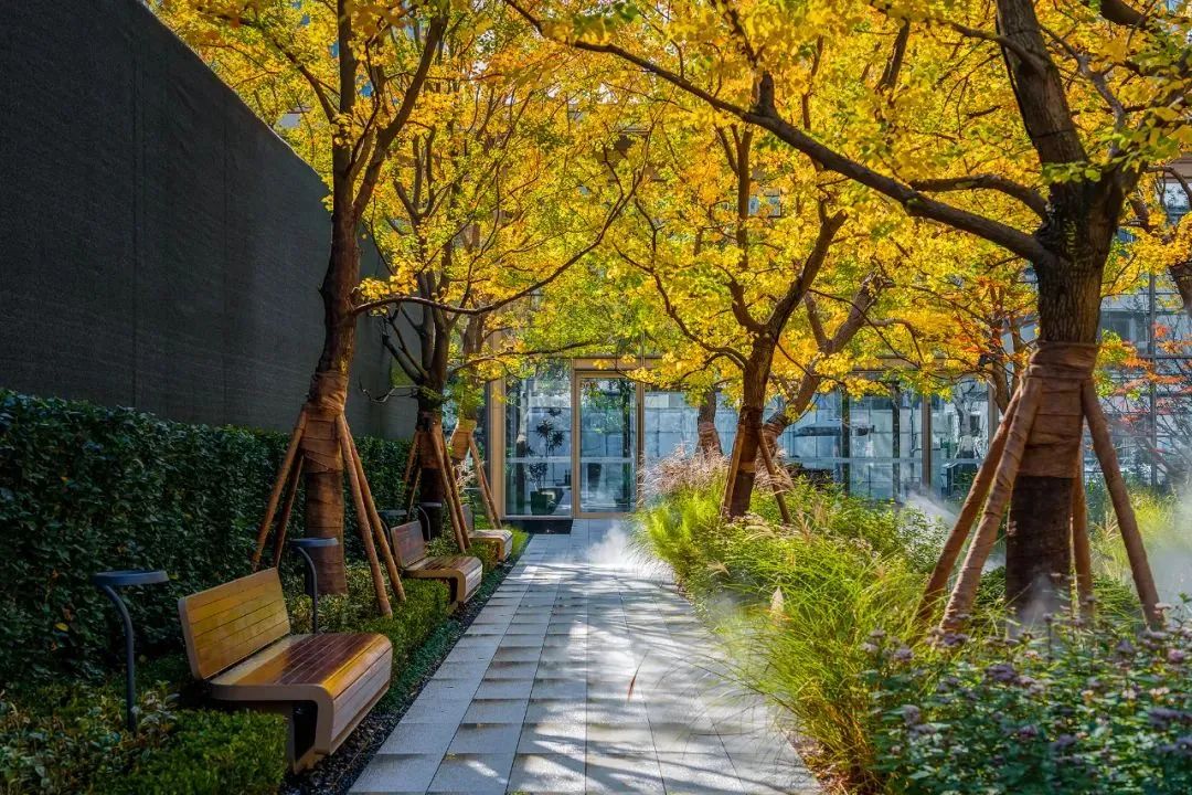 园路列植设计丨上景总工办-65