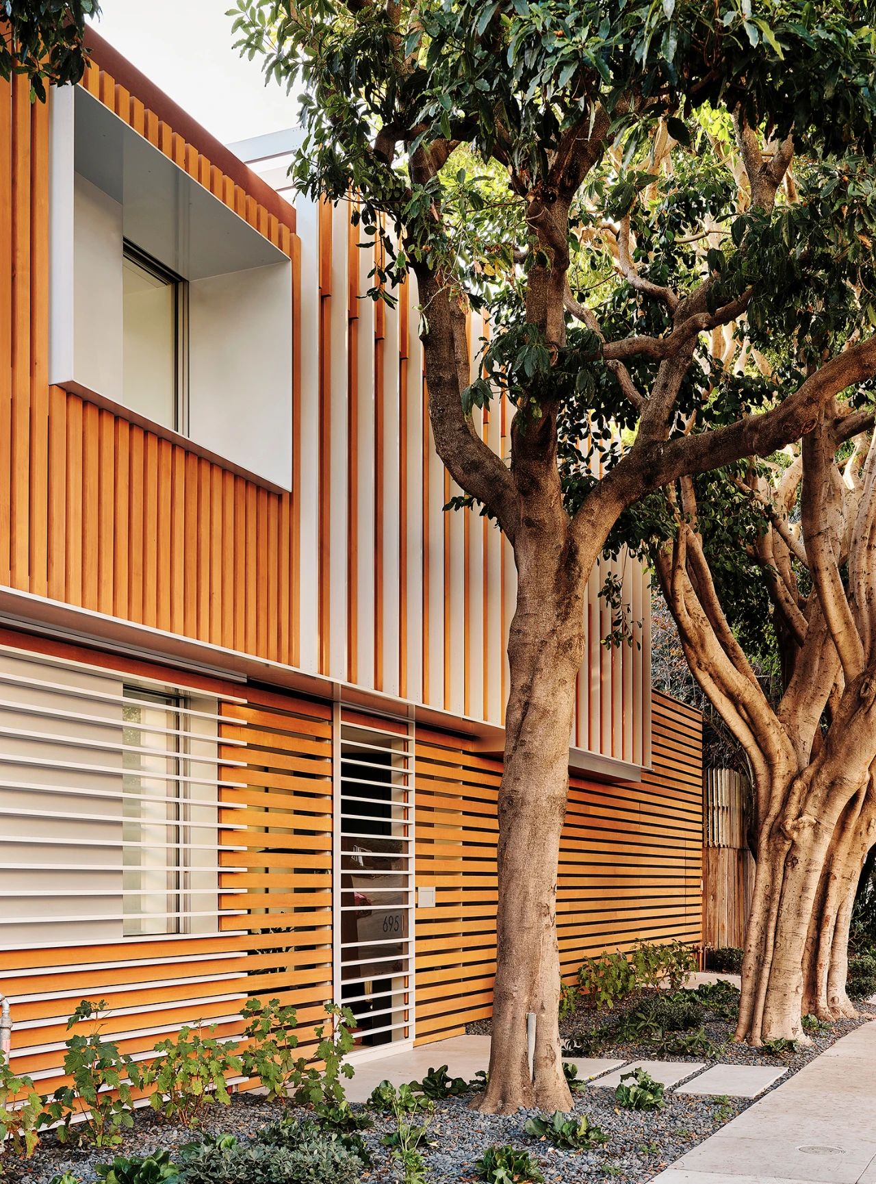 Translucence House · 半透明的家丨美国-35