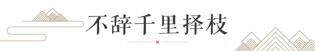 龙湖·双珑原著|满园皆风雅，画境彰匠诣-64