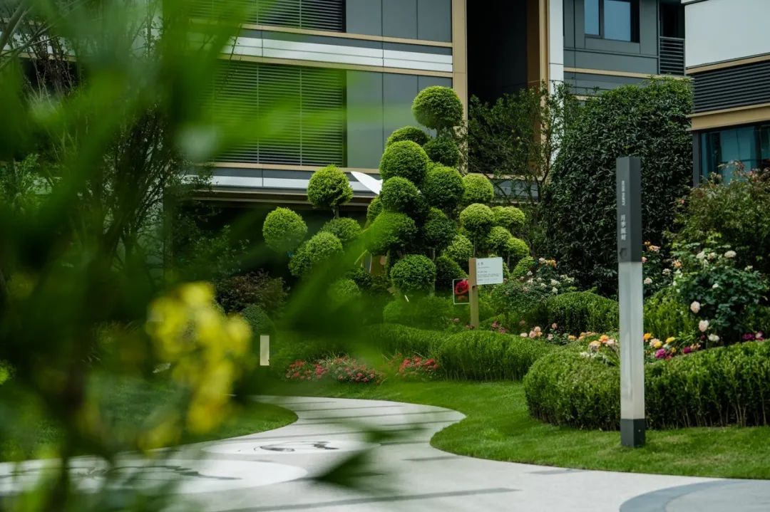 每月“星”品｜揽晖美寓，封藏钱江生活的流向-21