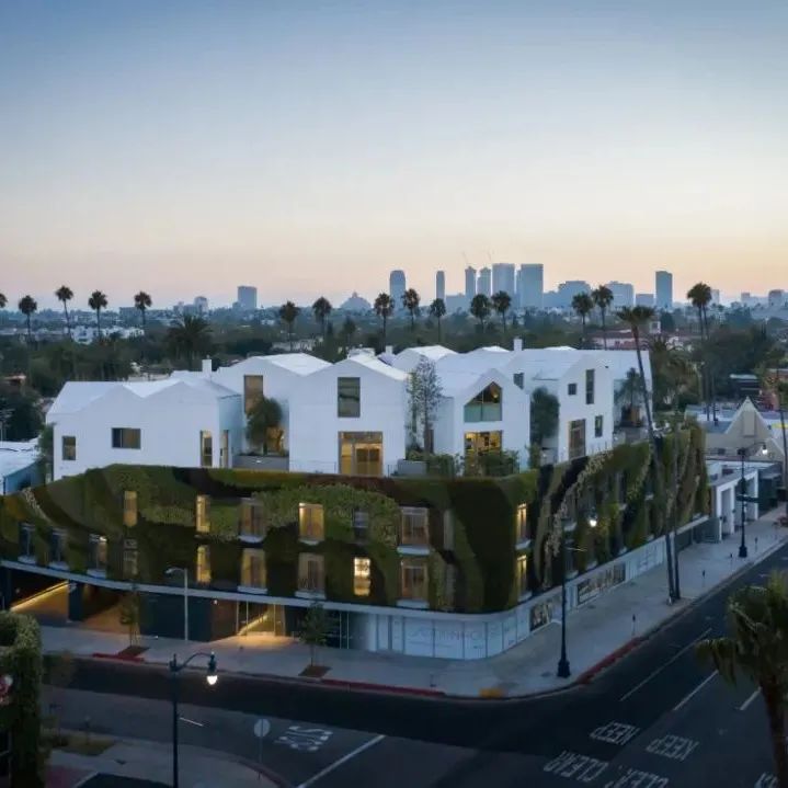 黑白艺术空间,自然与音乐的和谐奏鸣-52